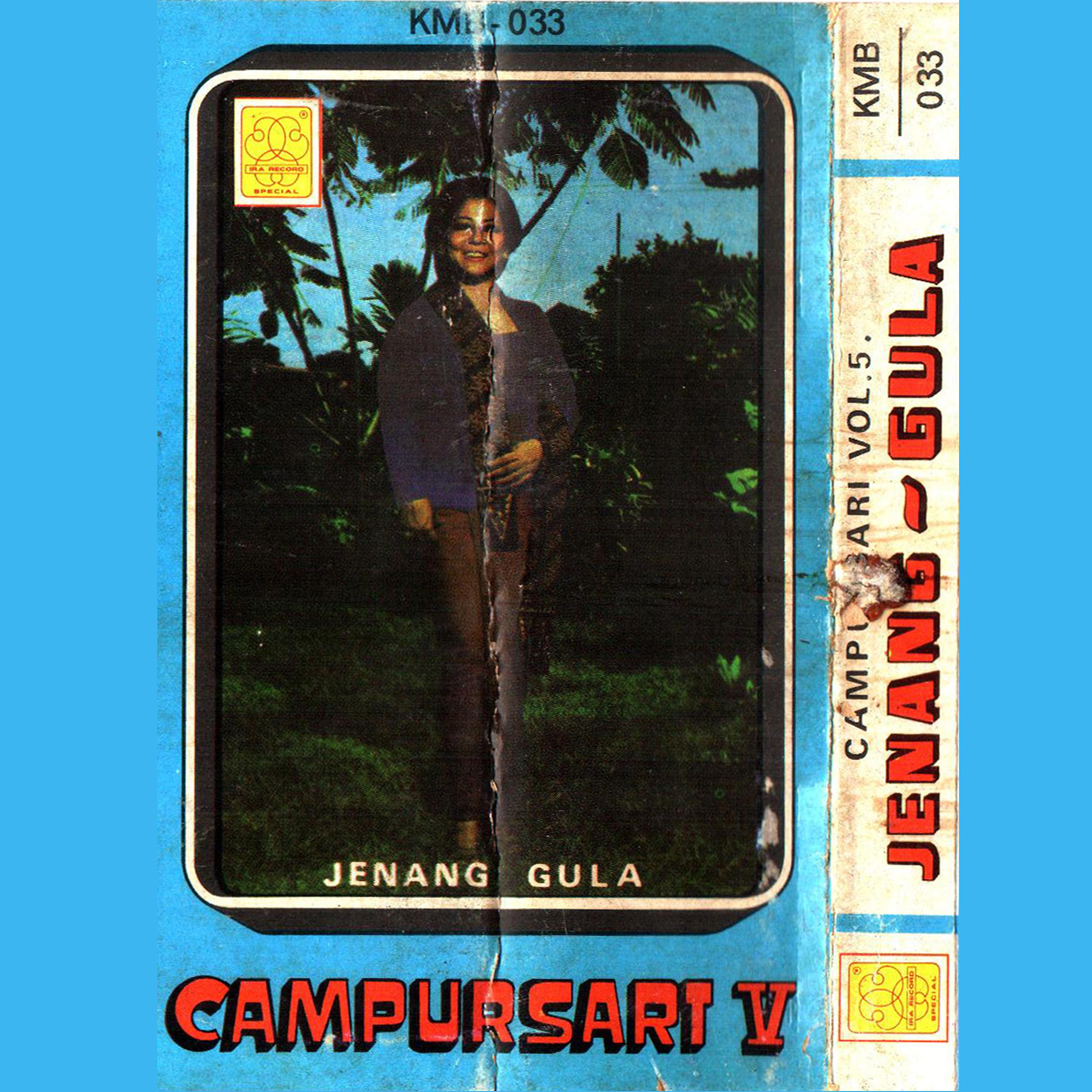 Постер альбома Campursari, Vol. 5