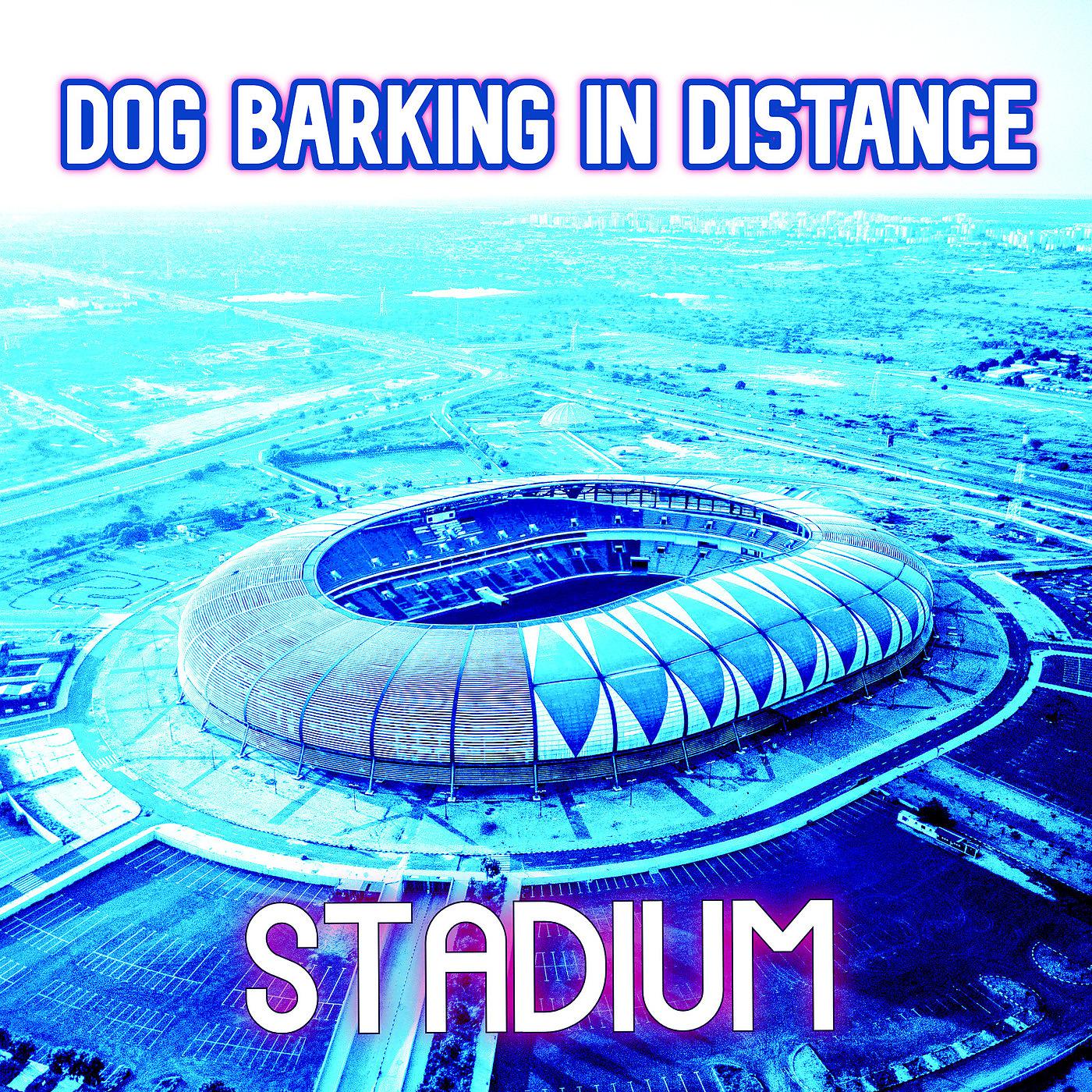 Постер альбома Stadium
