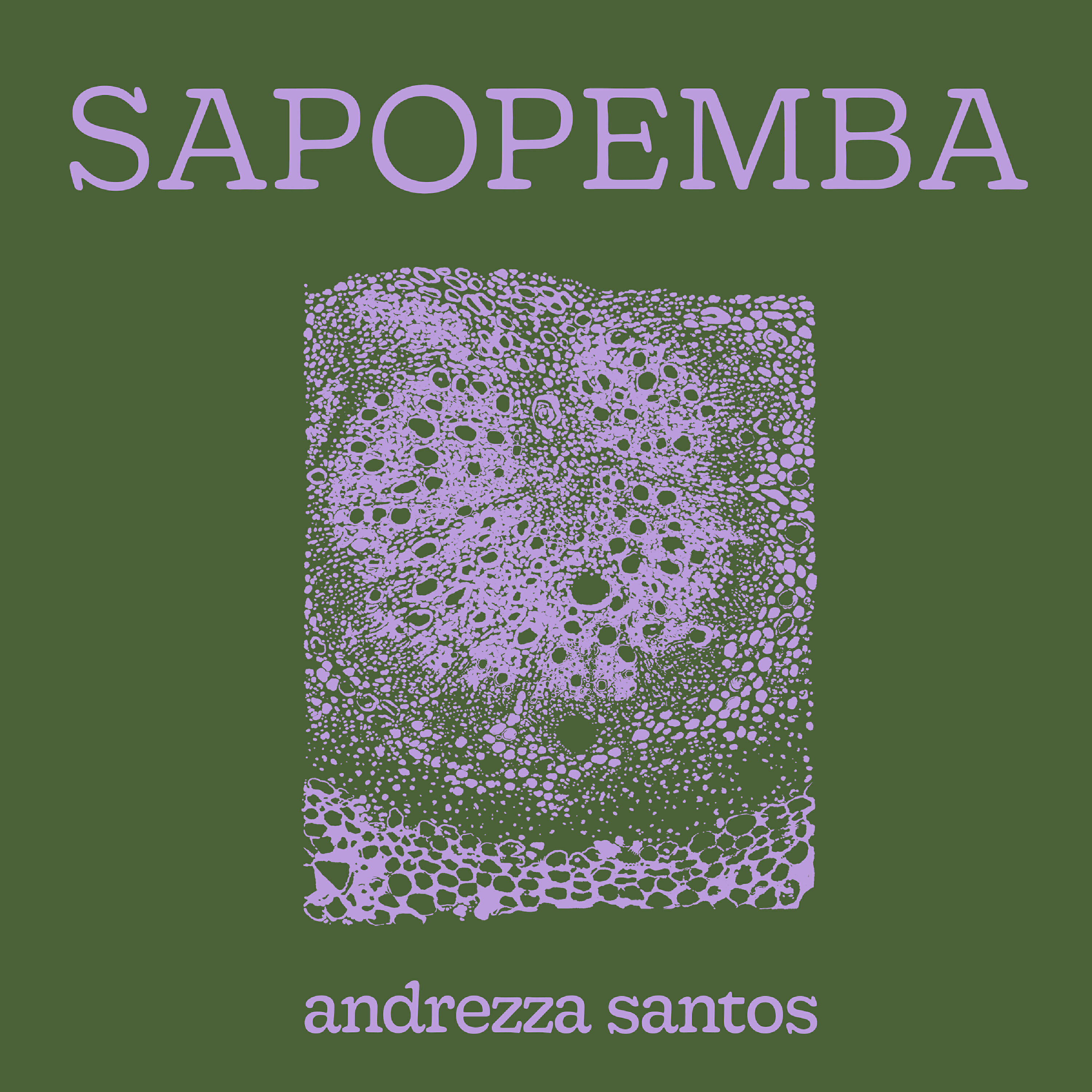 Andrezza Santos - Sem Ddd