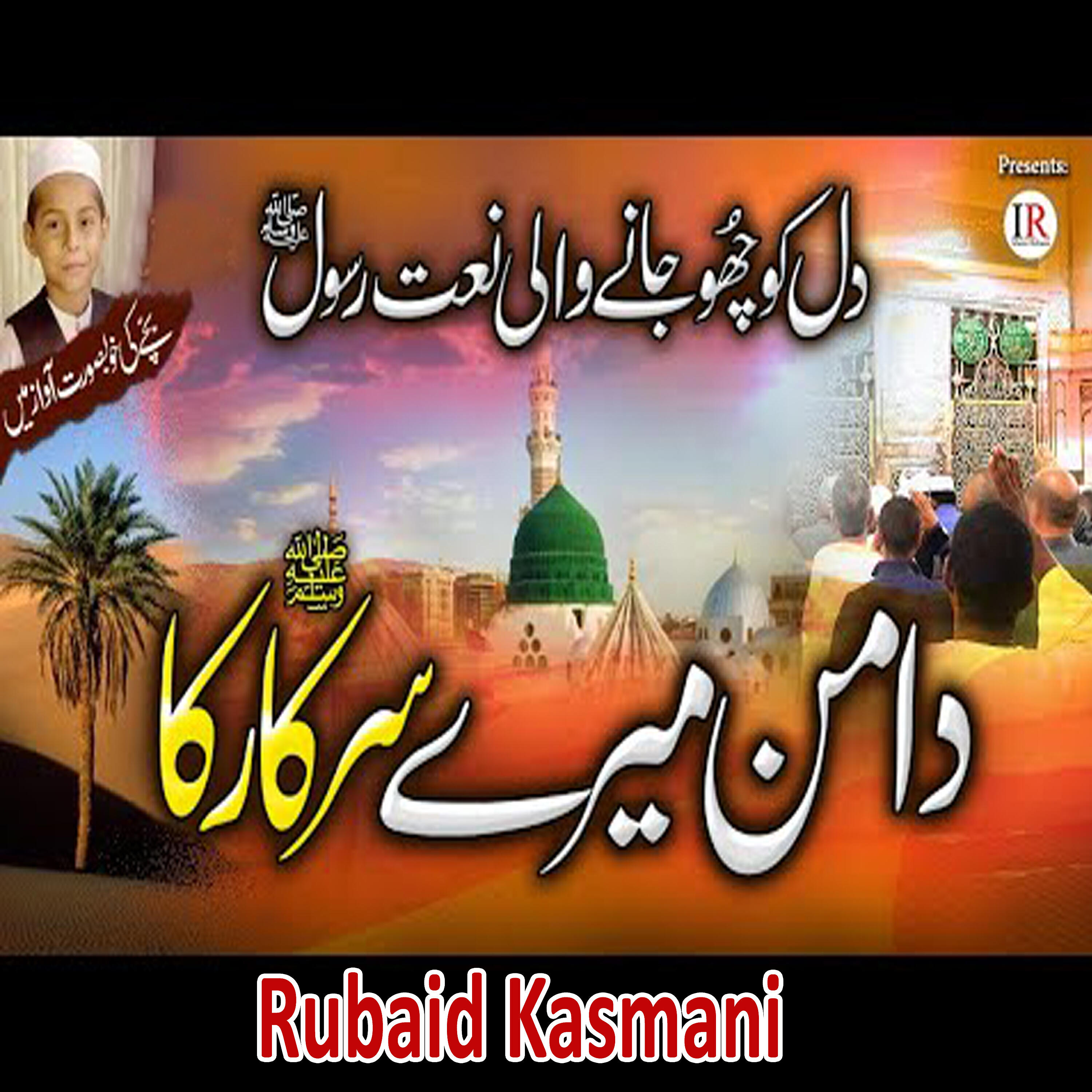 Usman Rabbani - Nokar Sahaba Ka