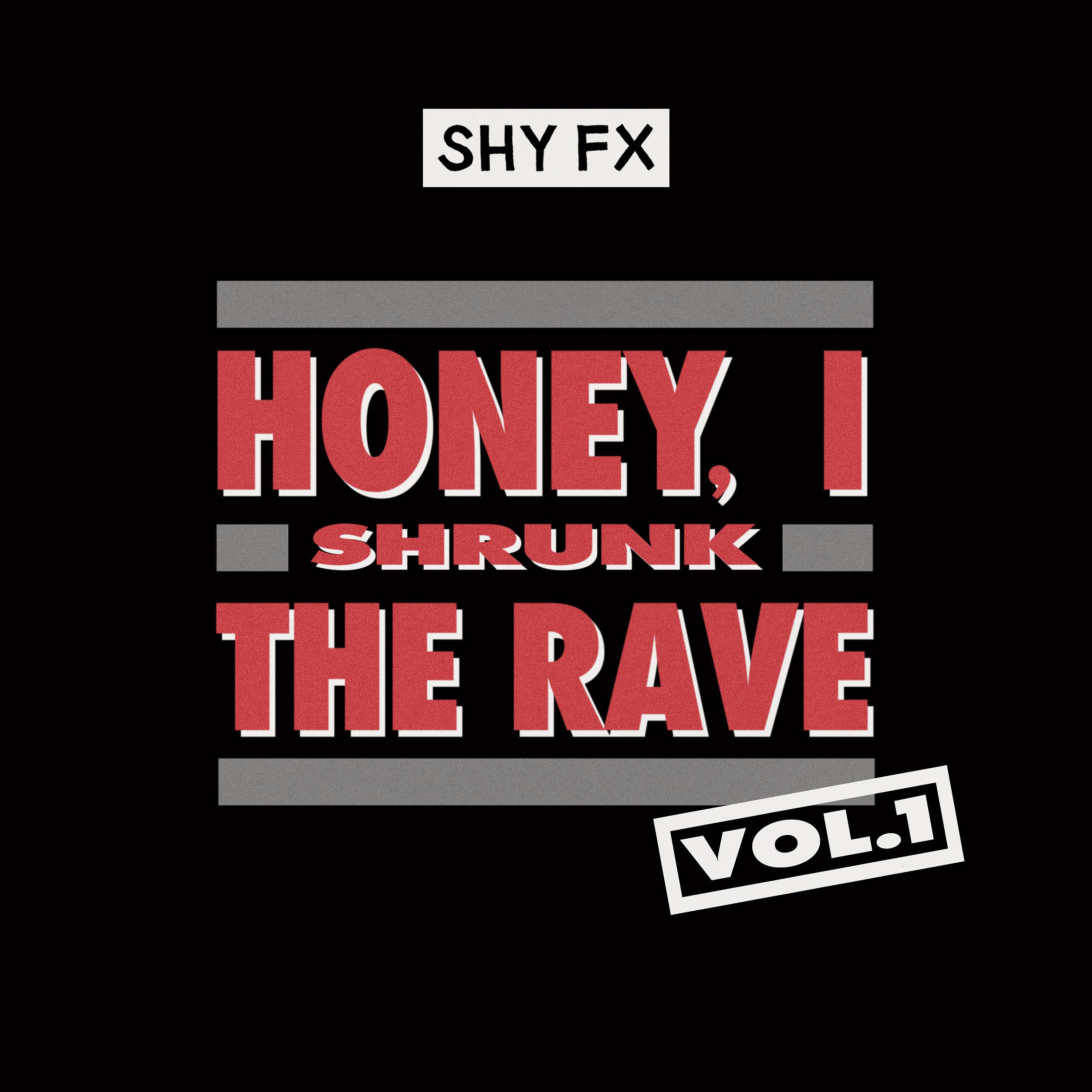Постер альбома Honey, I Shrunk The Rave, Vol. 1 (DJ Mix)