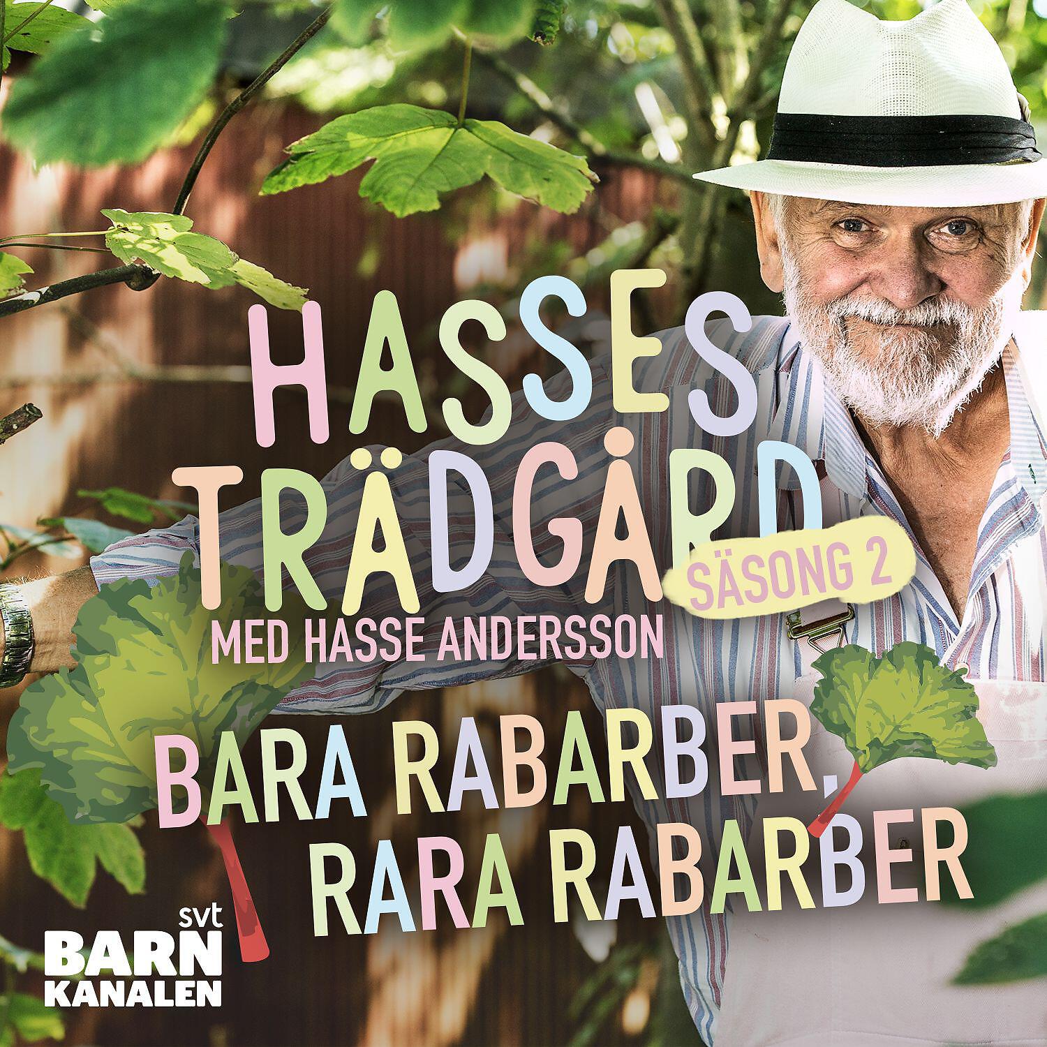 Hasse Andersson - Om man är ett frö
