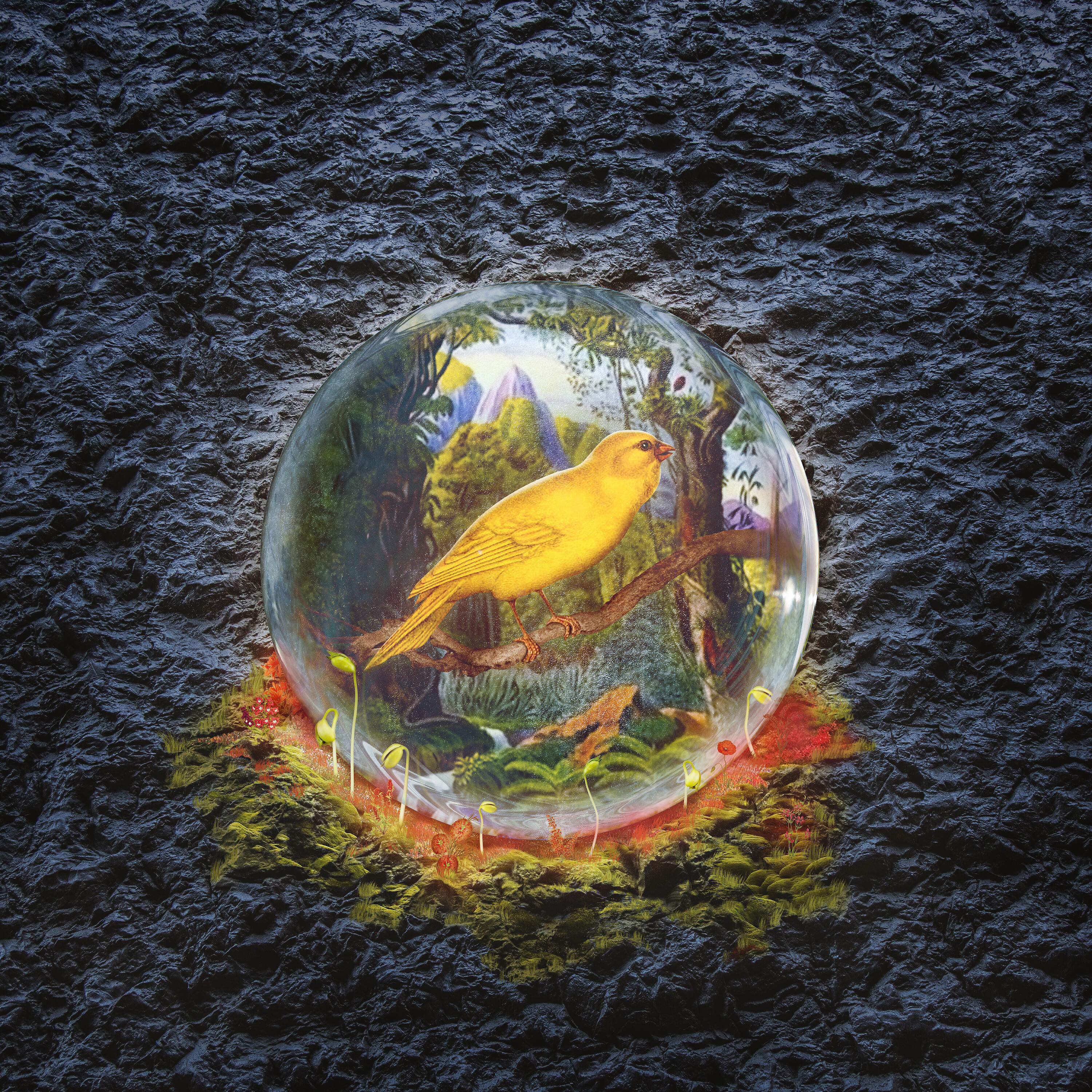 Moglii - Canary In The Coal Mine
