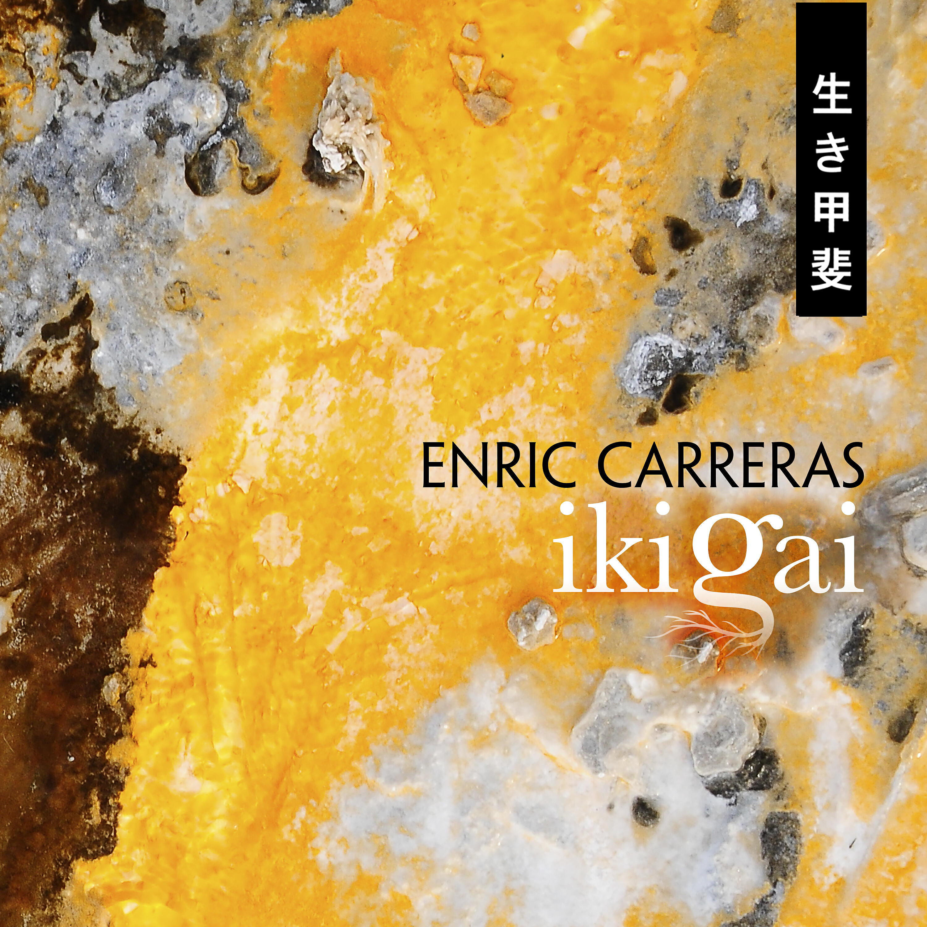 Enric Carreras - Guynwed