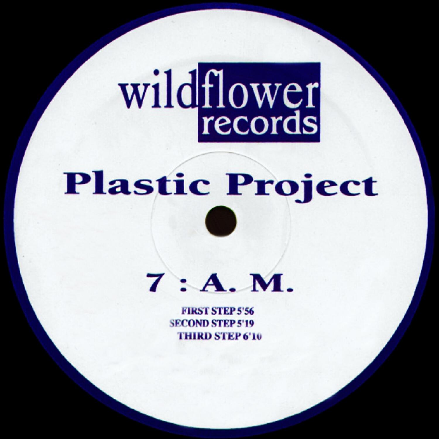 Plastic Project - 7: A. M. (Third Step)