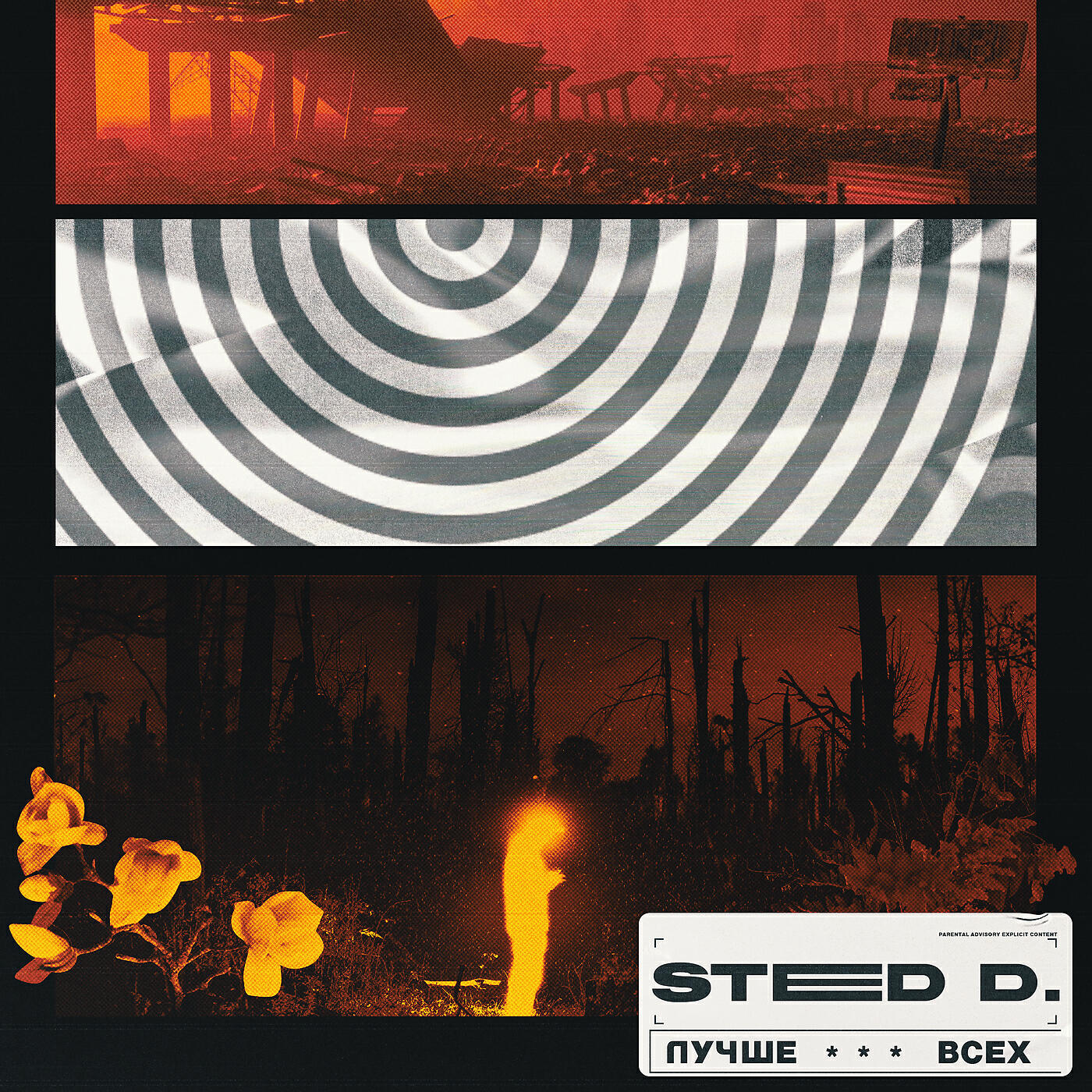 STED.D - ЛУЧШЕ ВСЕХ