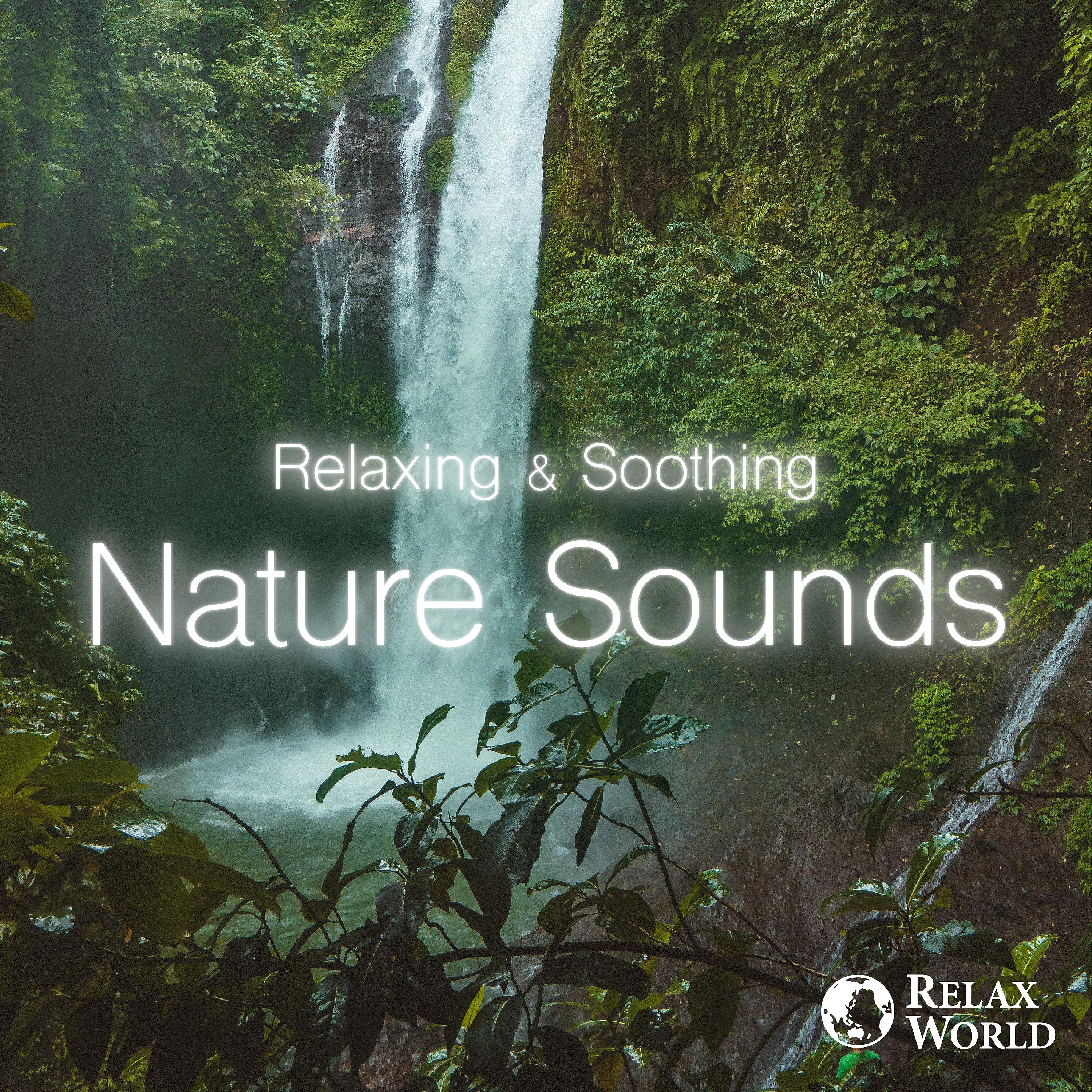 Постер альбома Relaxing & Soothing - Nature Sounds