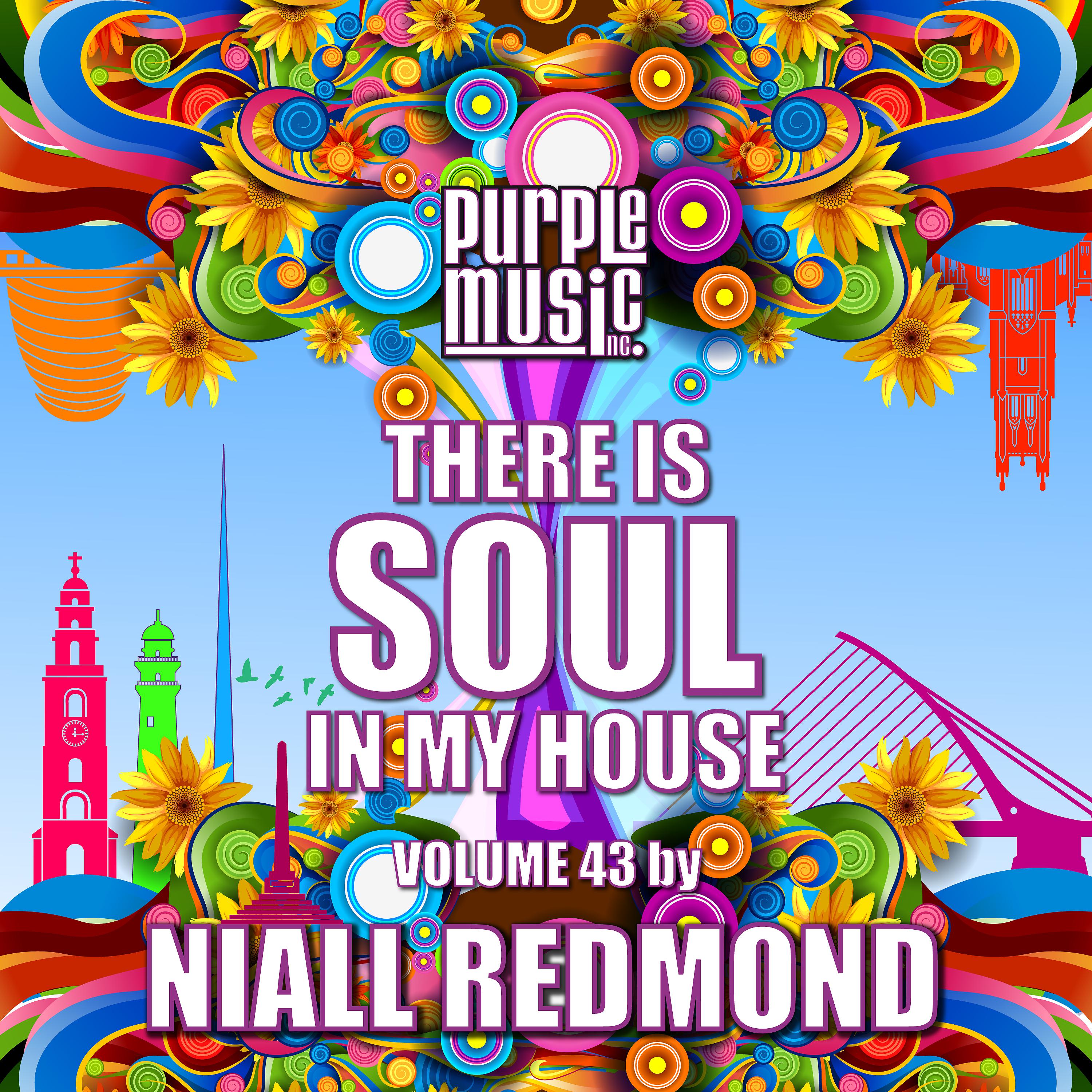 Постер альбома Niall Redmond Presents There is Soul in My House, Vol. 43