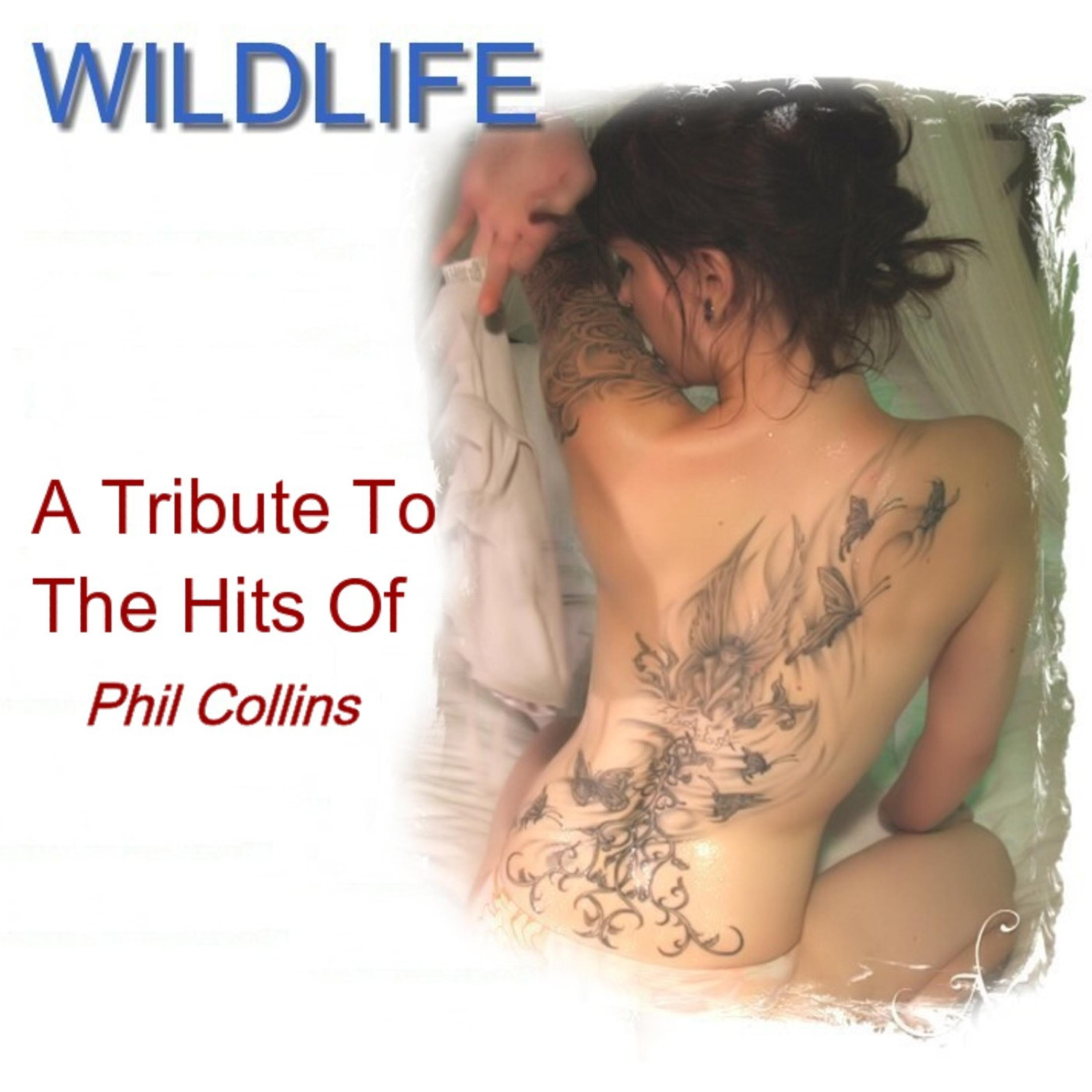 Постер альбома A Tribute to the Hits of Phil Collins
