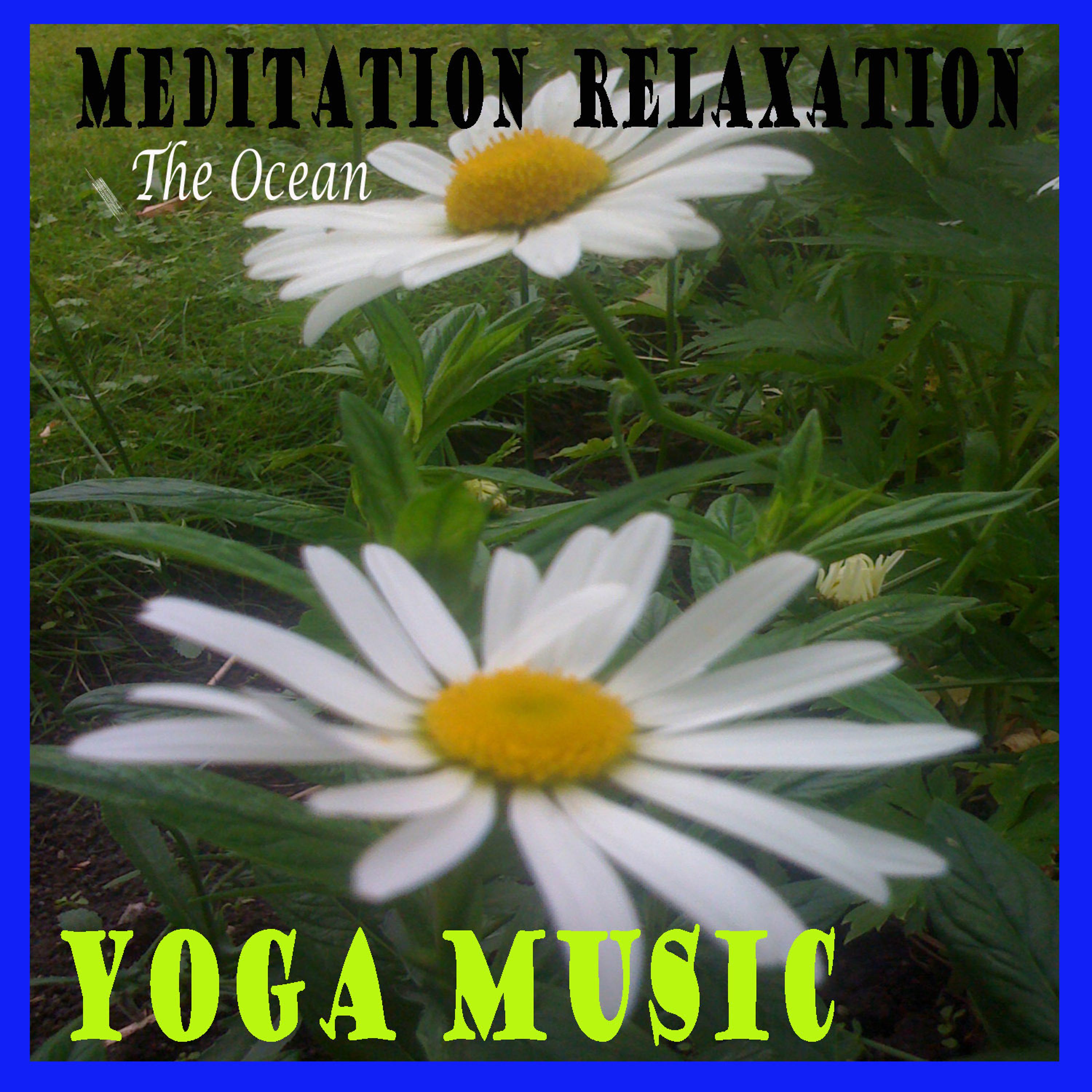 Постер альбома Meditation Relaxation