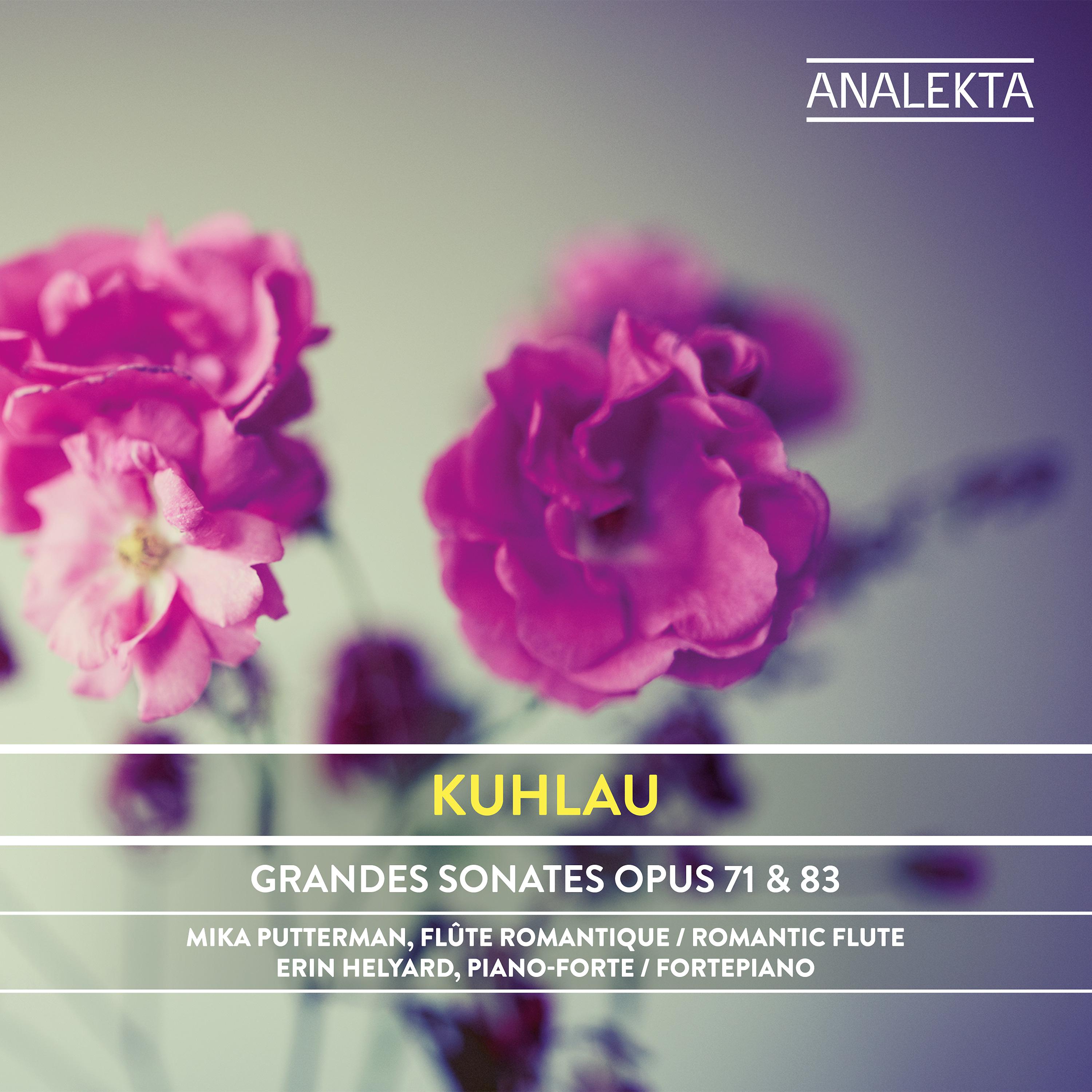 Постер альбома Kuhlau: Grandes Sonates, Op. 71 & 83