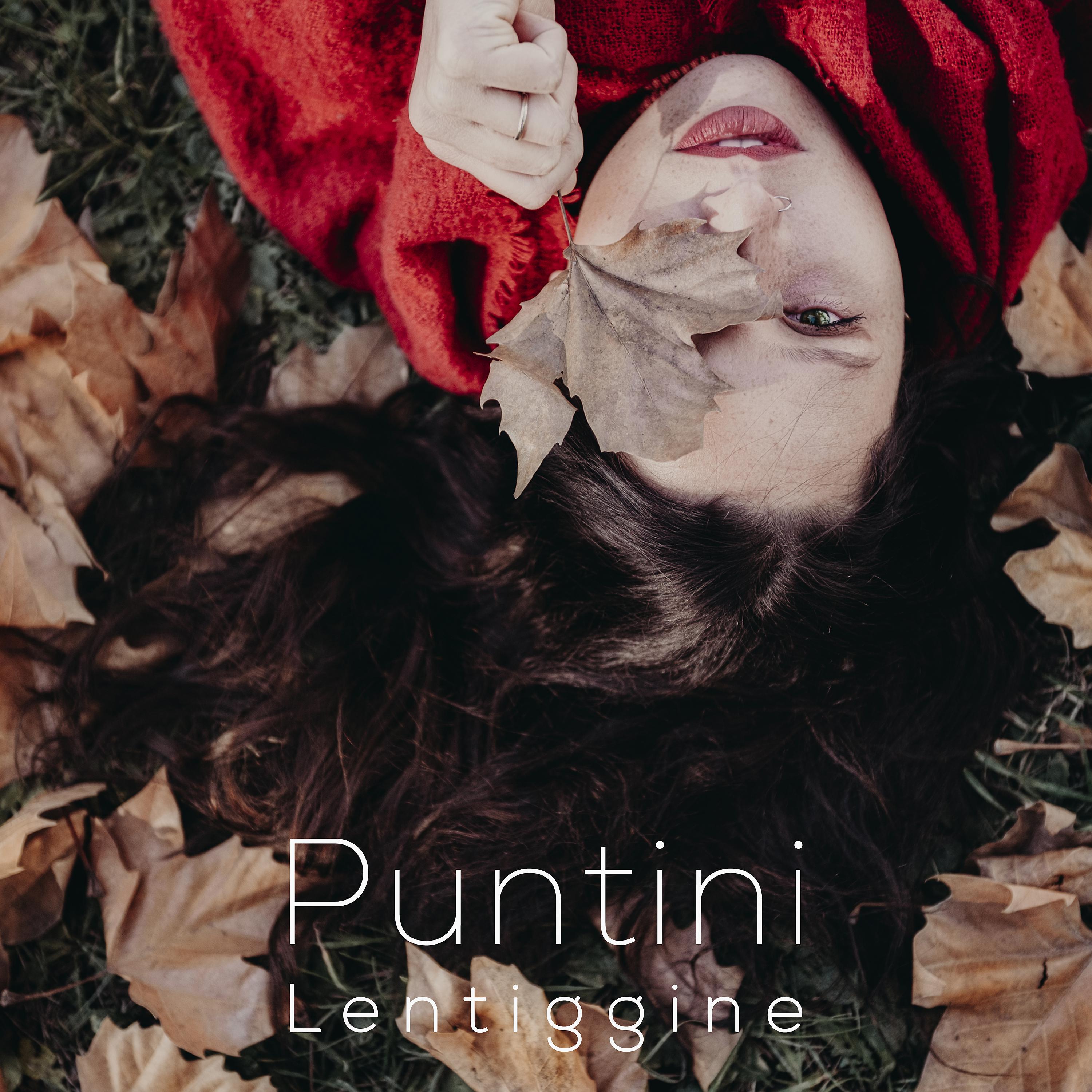 Постер альбома Puntini