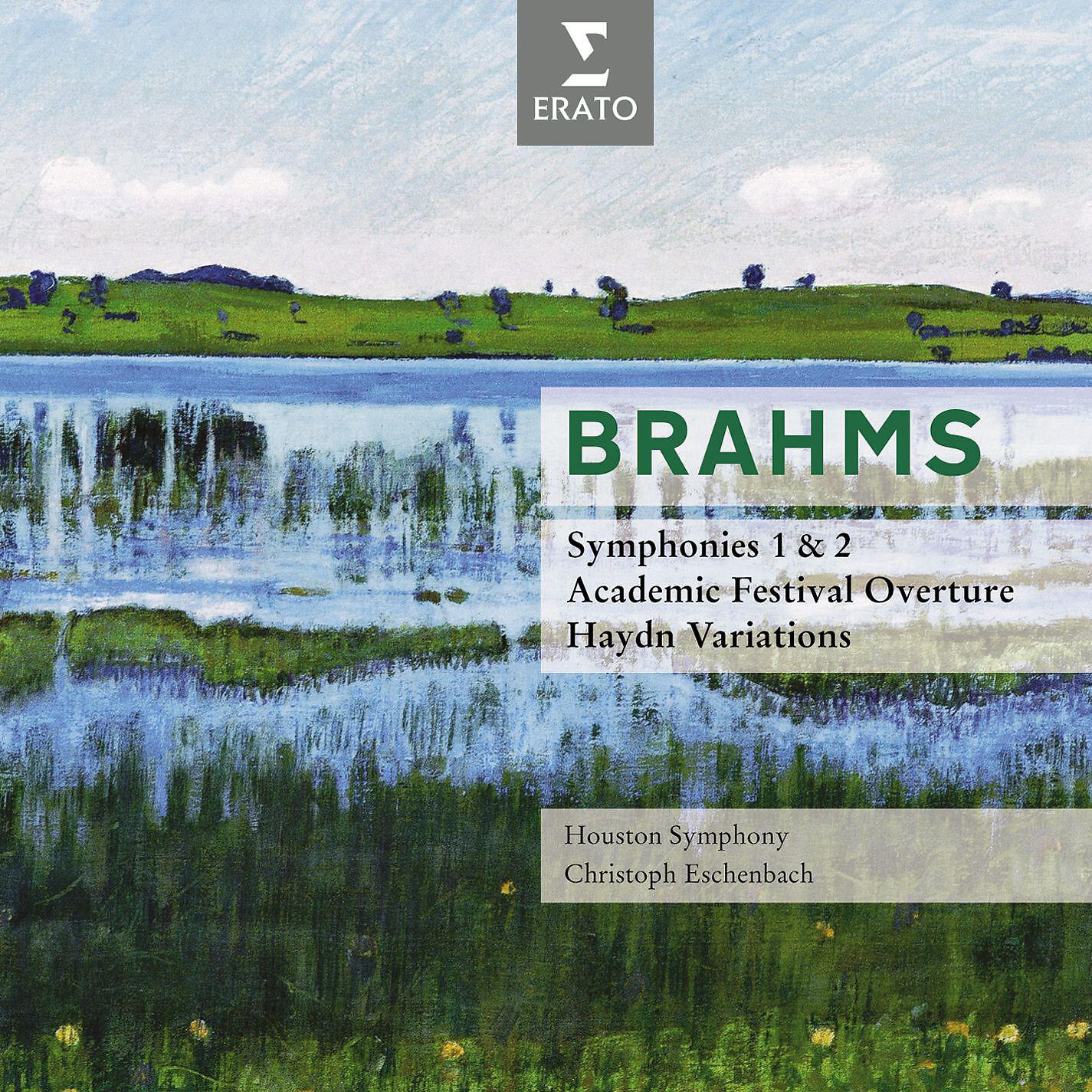 Houston Symphony Orchestra - Symphony No. 2 in D Major, Op. 73: IV. Allegro con spirito