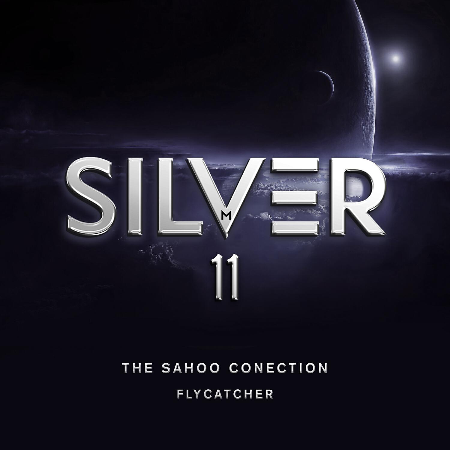 The Sahoo Conection - Deep Chunk (Original Mix)