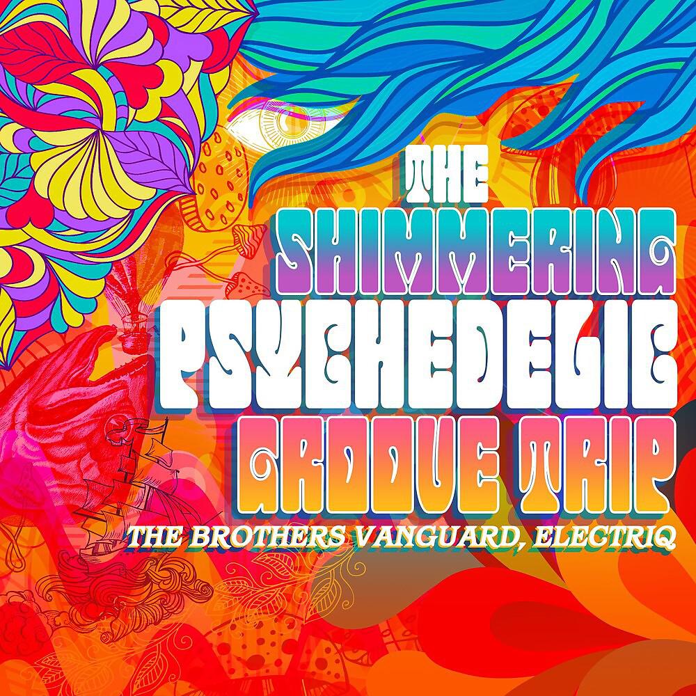 Постер альбома The Shimmering Psychedelic Groove Trip