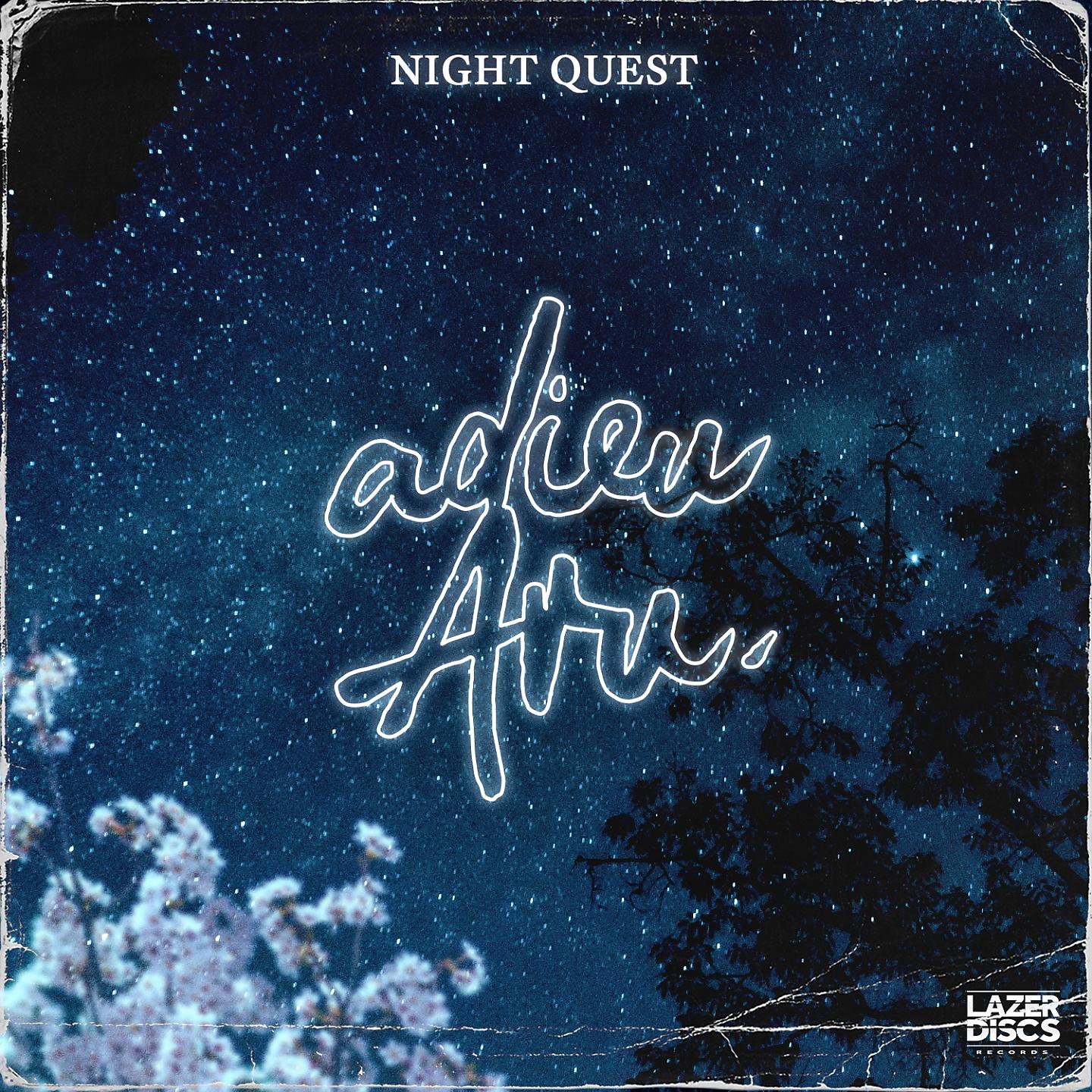 Постер альбома Night Quest