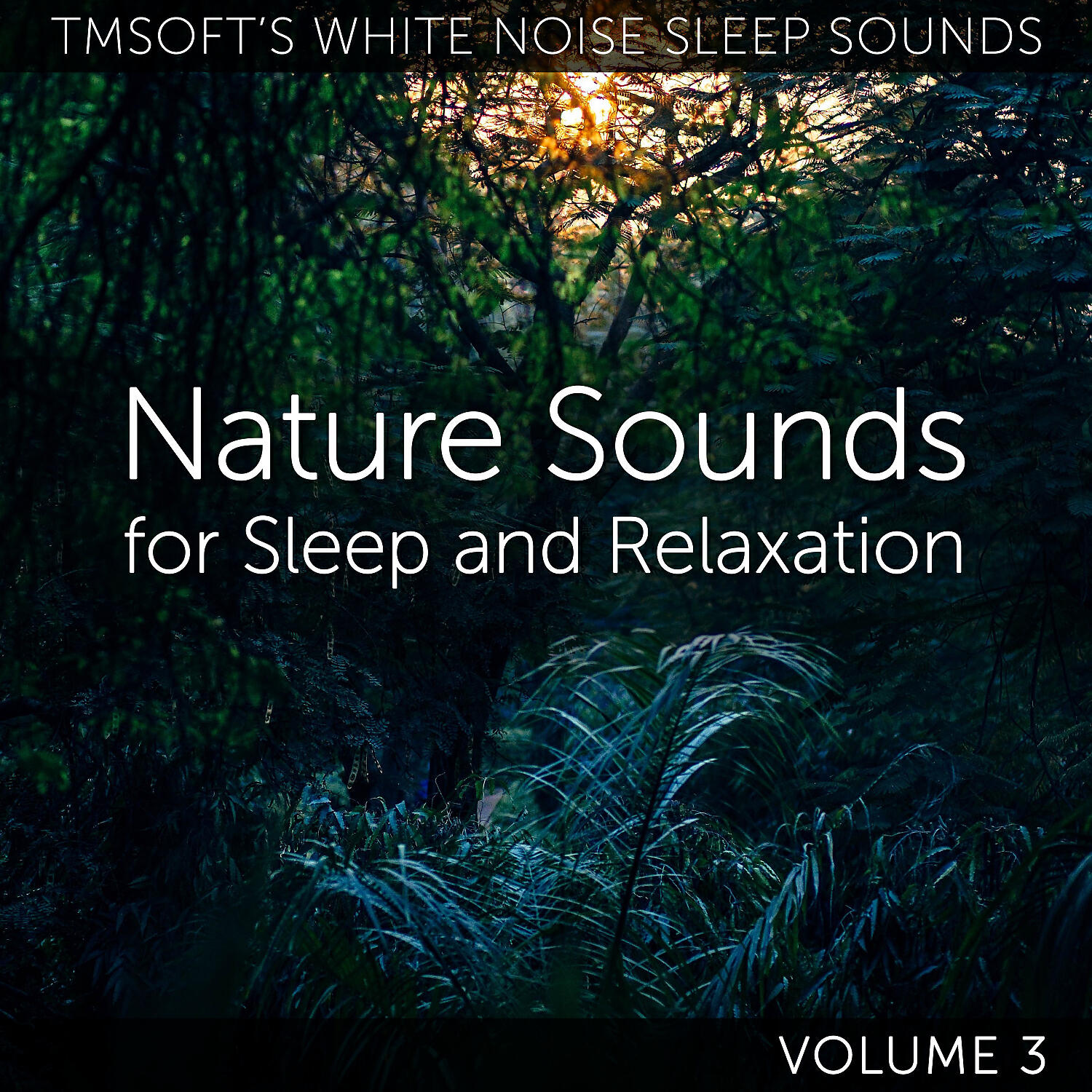 Tmsoft's White Noise Sleep Sounds - Idaho Mountain Campsite