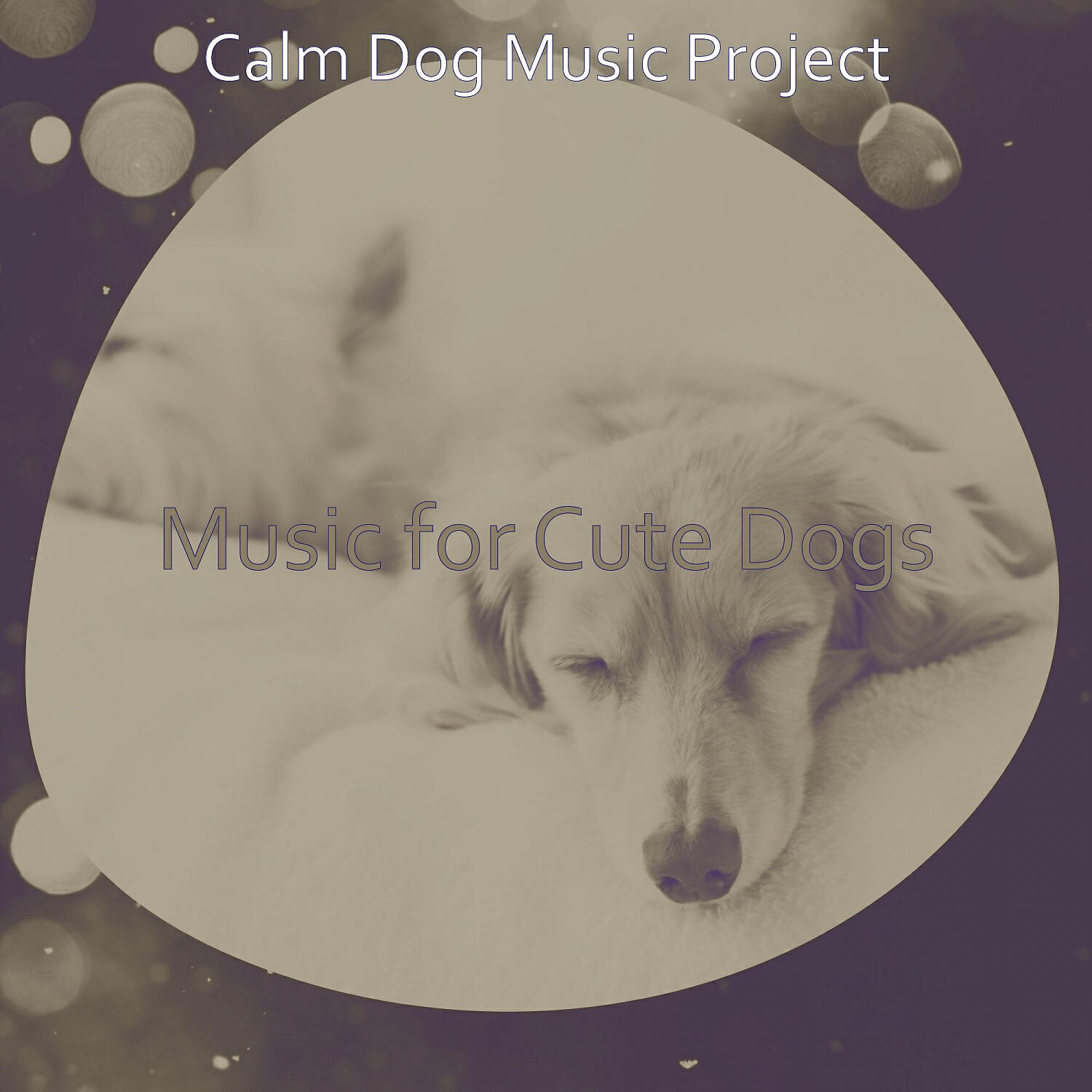 Calm Dog Music Project - Calm Solo Piano Jazz - Vibe for Relaxing Dogs