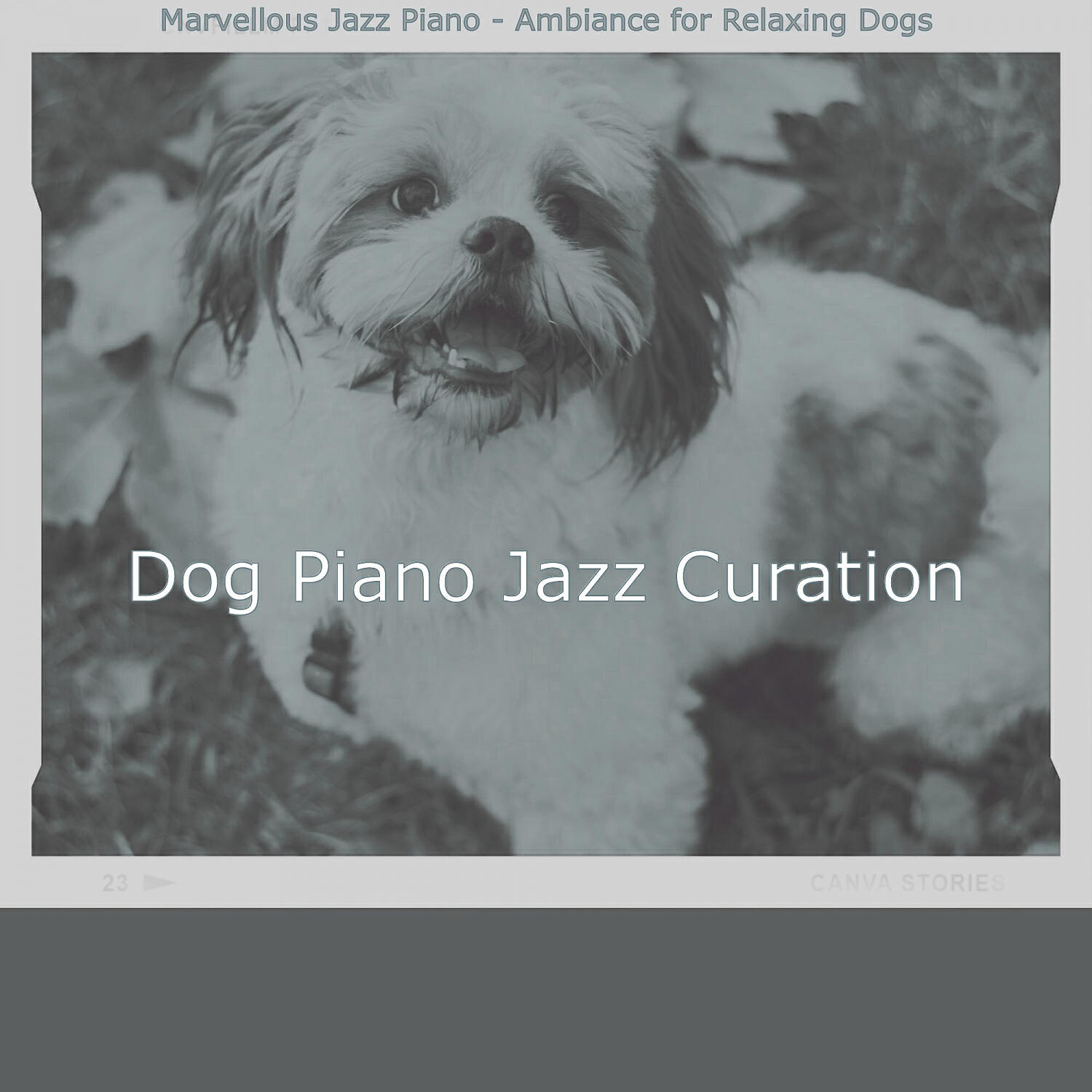 Dog Piano Jazz Curation - Mysterious Solo Piano Jazz - Vibe for Keeping Dogs Relaxed