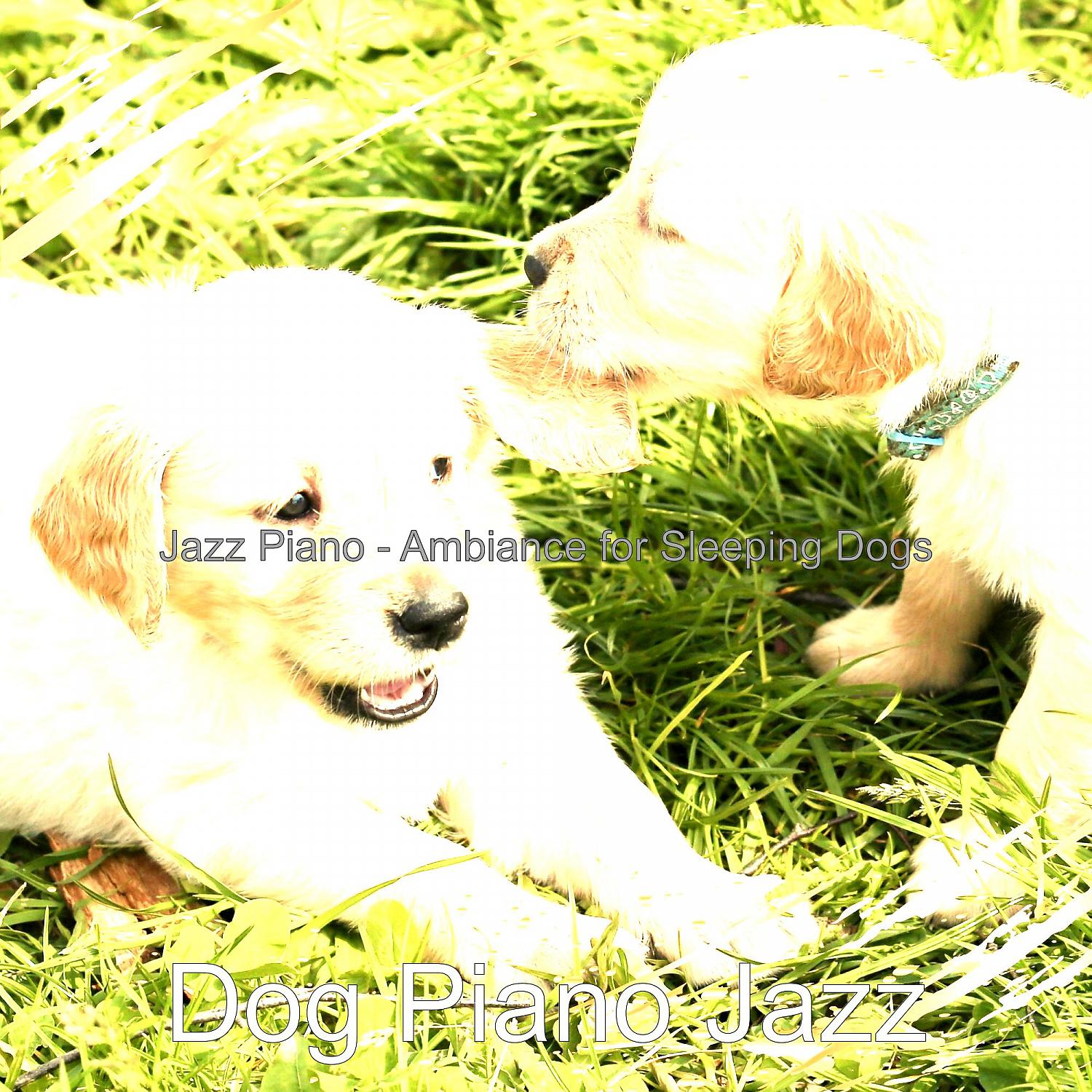 Постер альбома Jazz Piano - Ambiance for Sleeping Dogs
