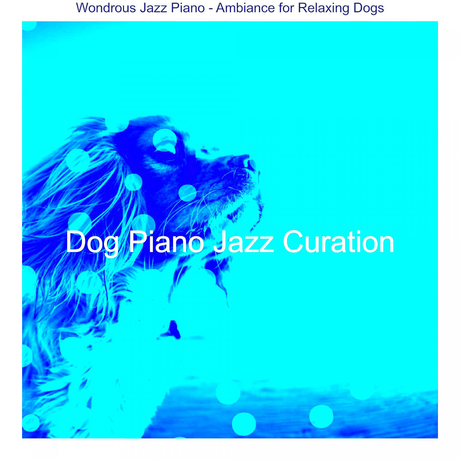 Dog Piano Jazz Curation - Understated Solo Piano Jazz - Vibe for Separation Anxiety