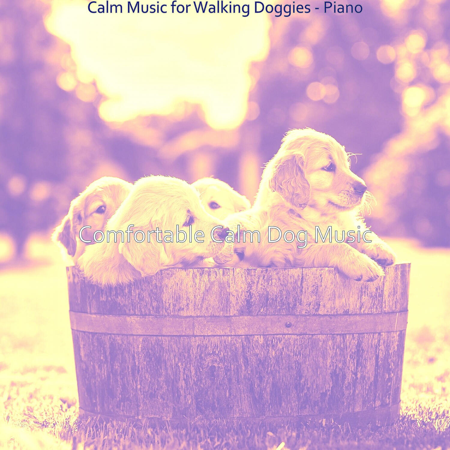 Comfortable Calm Dog Music - Calm Music for Calming Pups