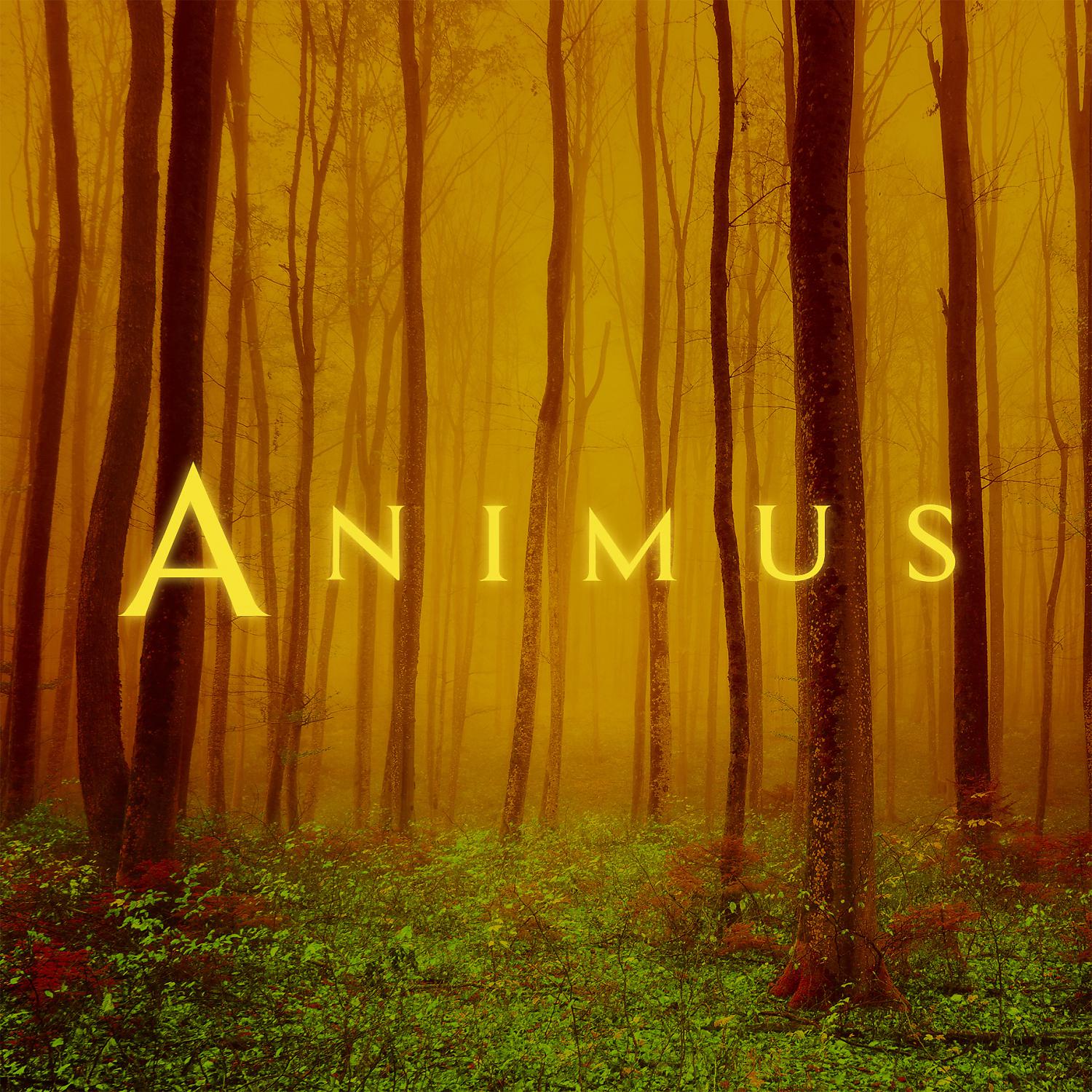 Постер альбома Animus II