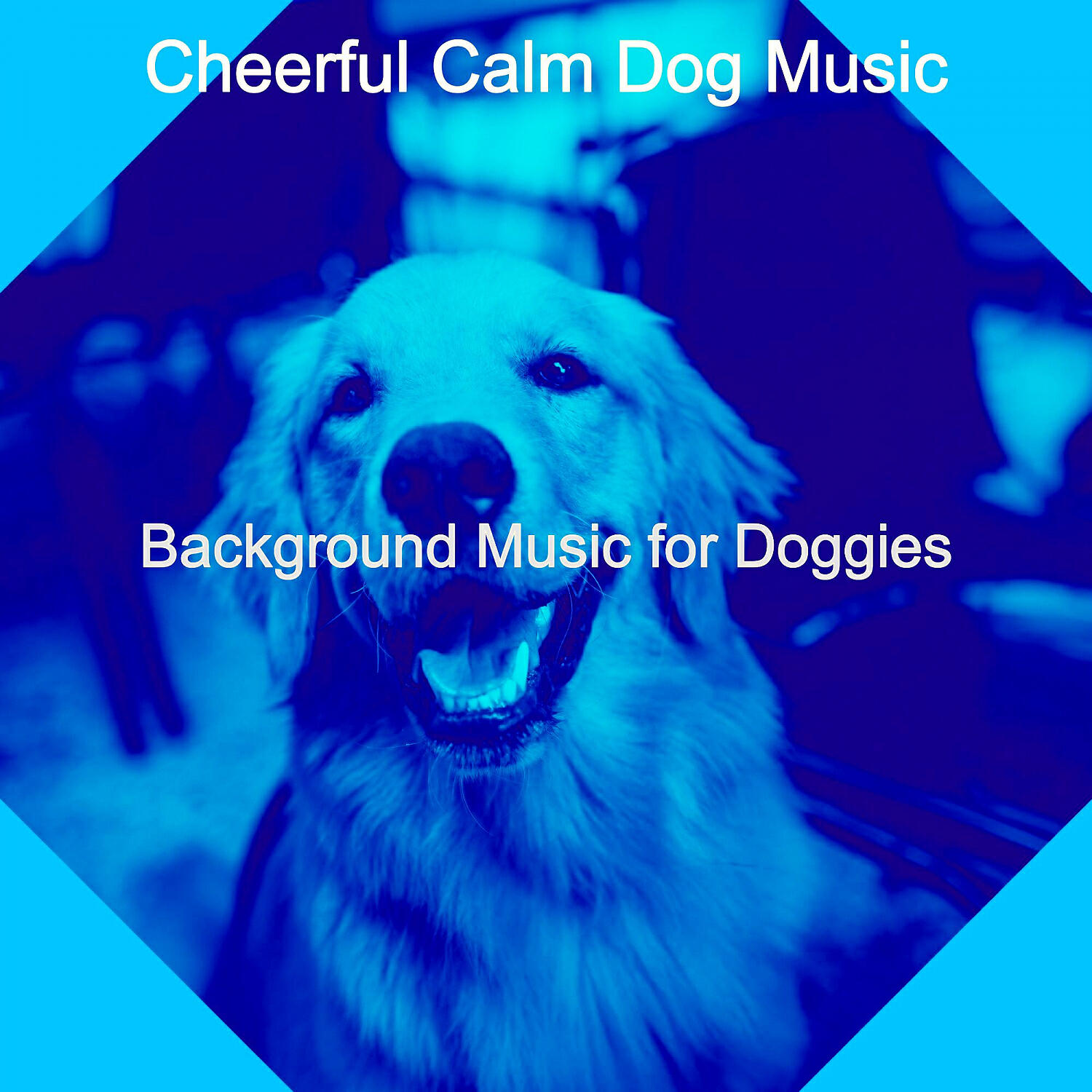 Cheerful Calm Dog Music - Brilliant Ambience for Walking Doggies