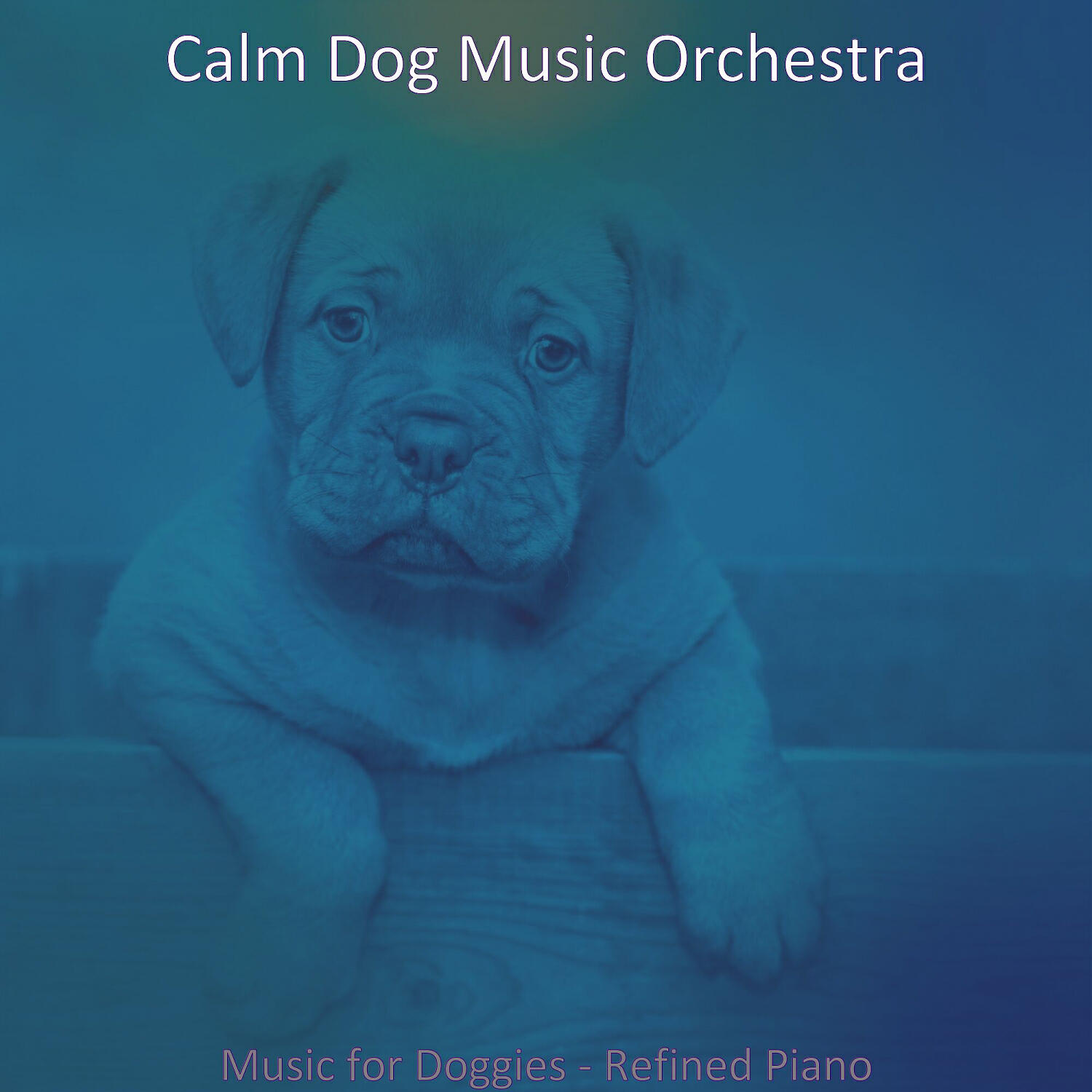 Calm Dog Music Orchestra - Refined Music for Walking Doggies