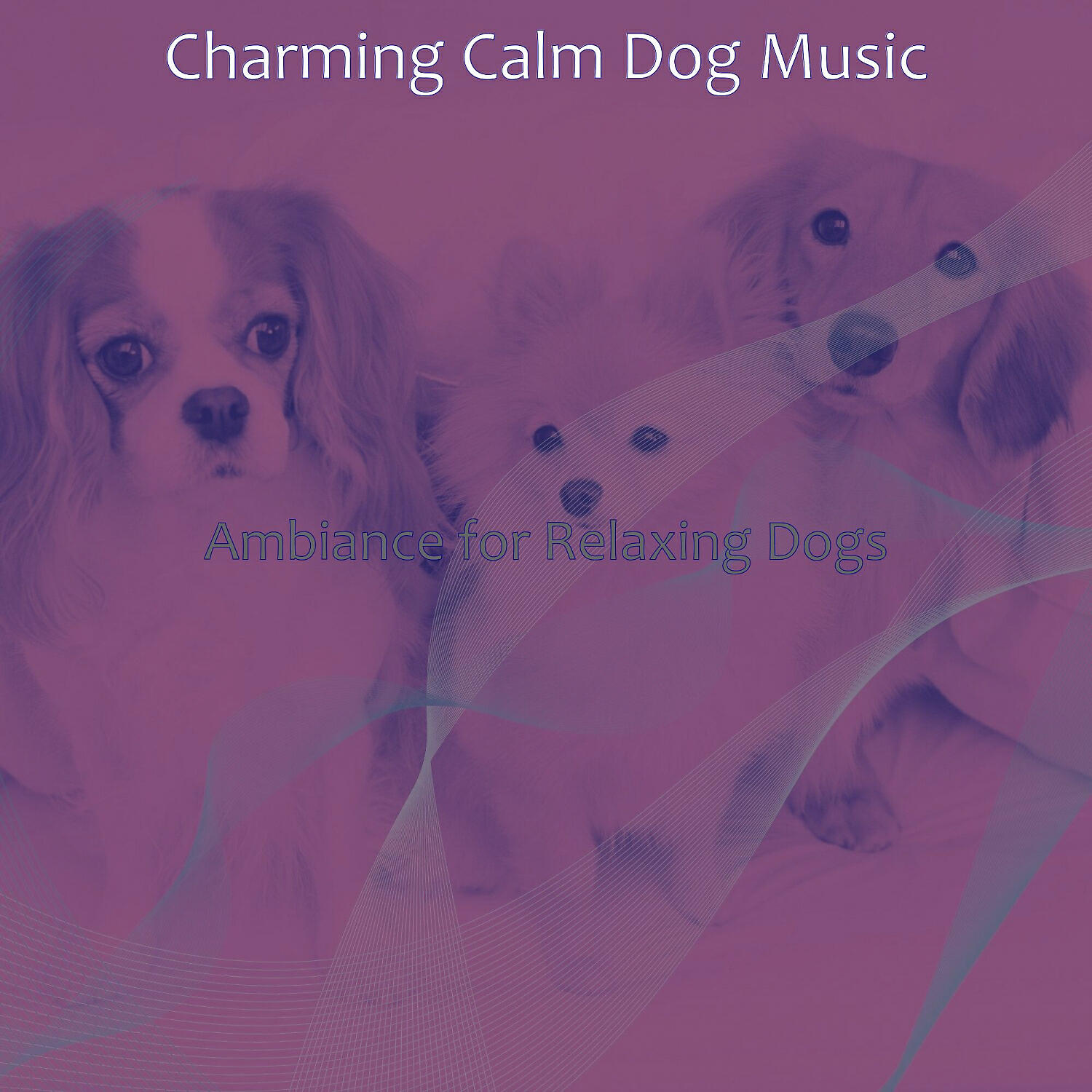 Charming Calm Dog Music - Mind-blowing Solo Piano Jazz - Vibe for Calming Pups