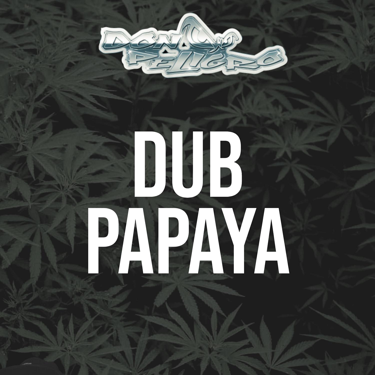 Постер альбома DUB PAPAYA