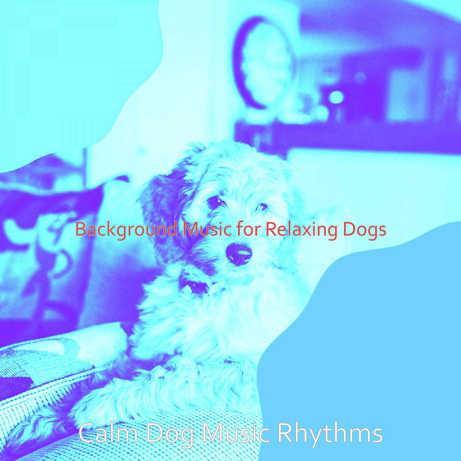 Calm Dog Music Rhythms - Opulent Solo Piano Jazz - Vibe for Cute Dogs