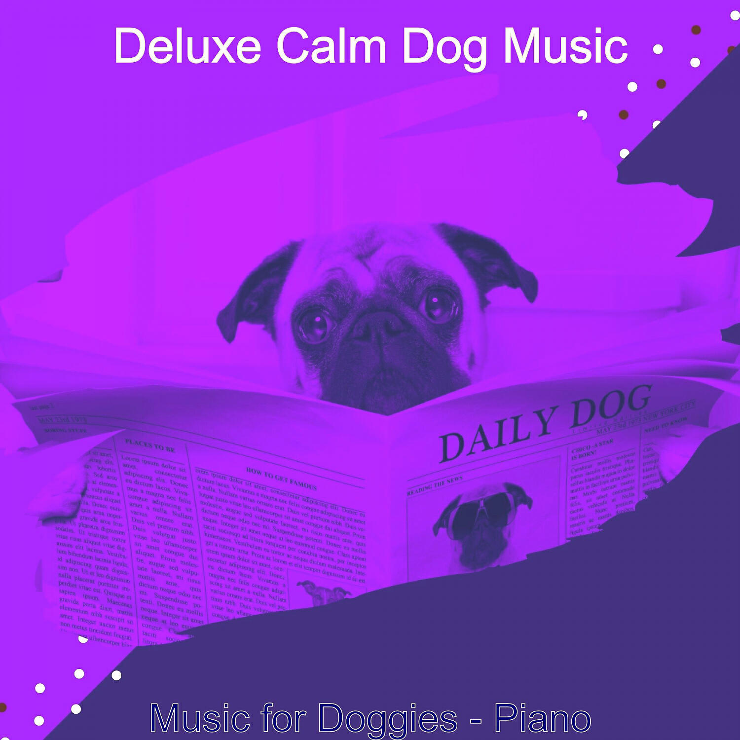 Deluxe Calm Dog Music - Amazing Music for Cute Dogs