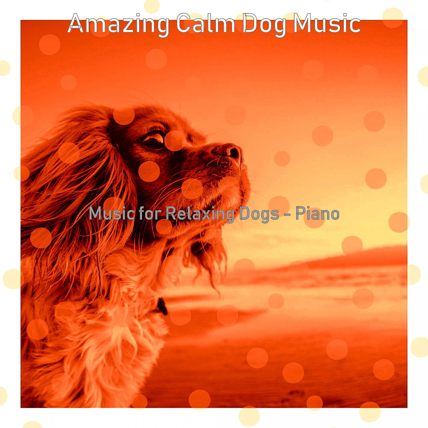 Amazing Calm Dog Music - Suave Music for Doggy Training