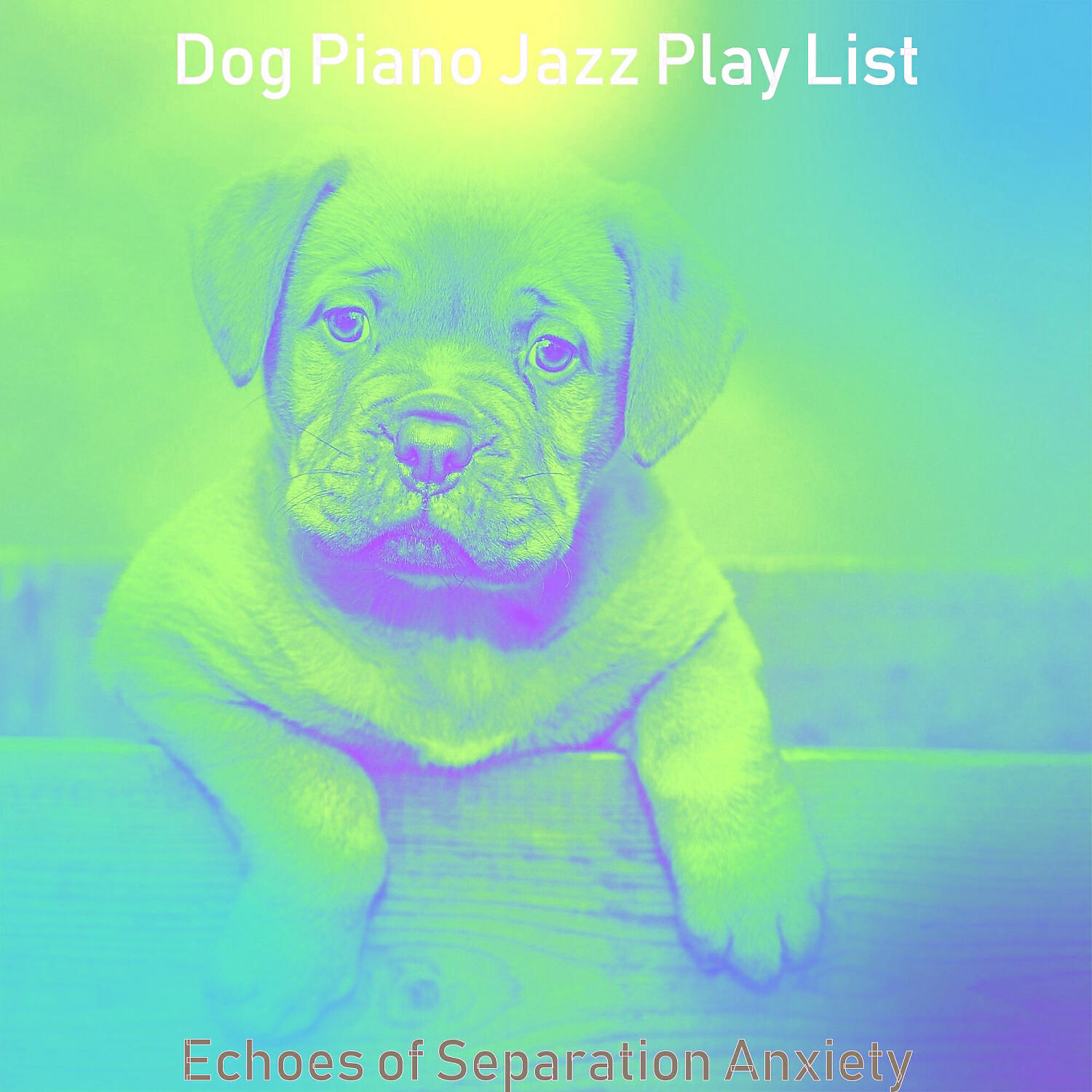 Dog Piano Jazz Play List - Dashing Backdrops for Calming Your Dog