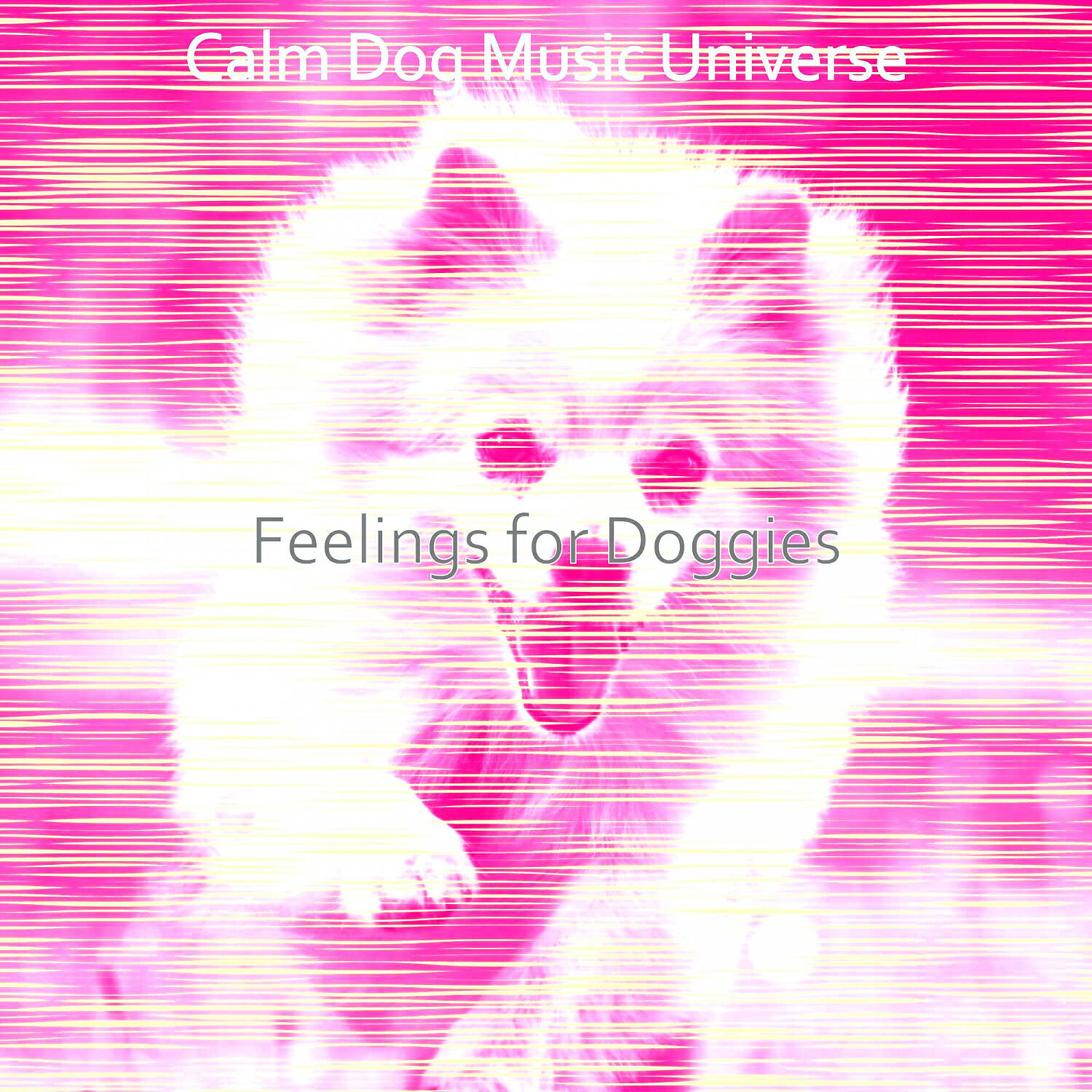 Calm Dog Music Universe - Sumptuous Music for Relaxing Dogs