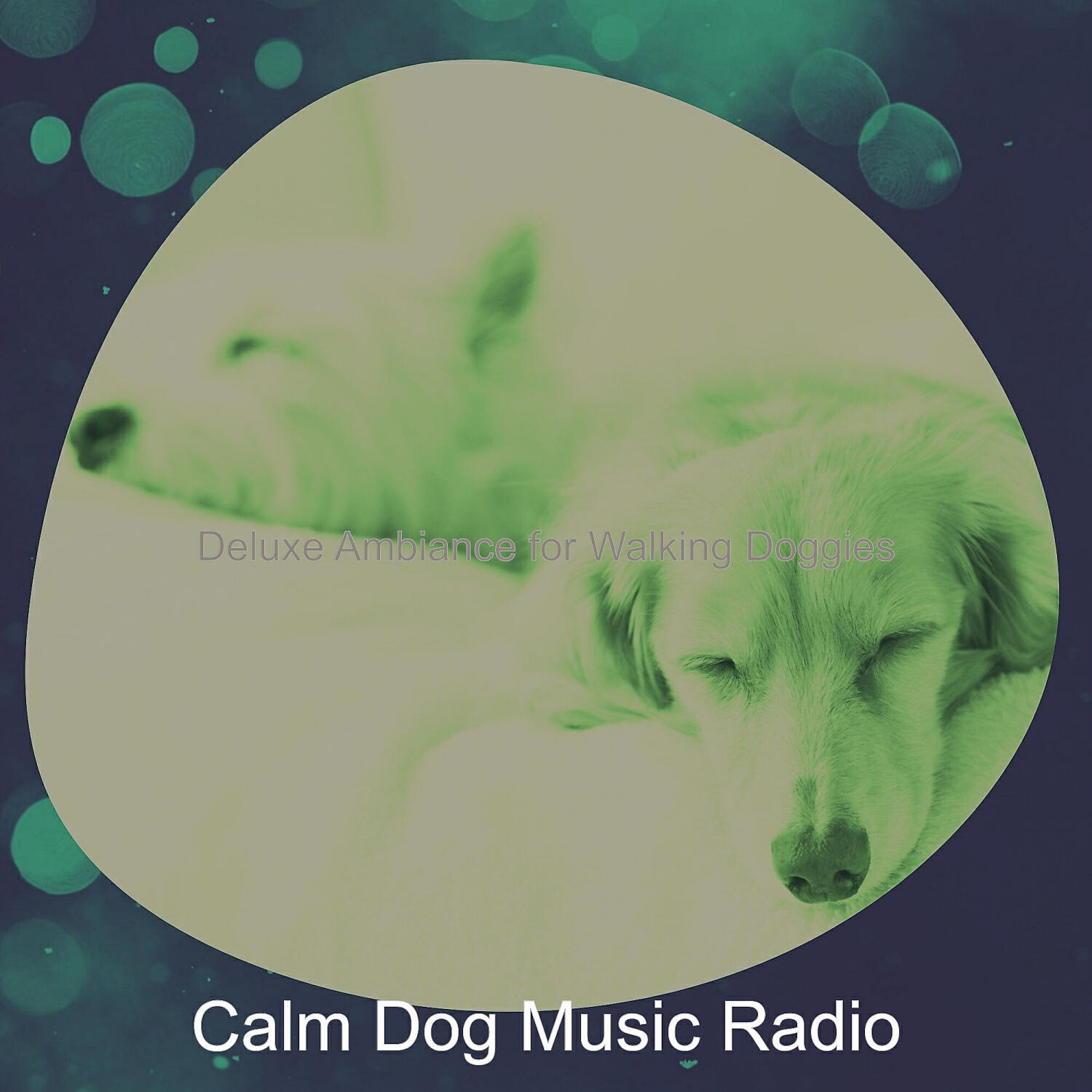 Calm Dog Music Radio - Carefree Solo Piano Jazz - Vibe for Cute Dogs