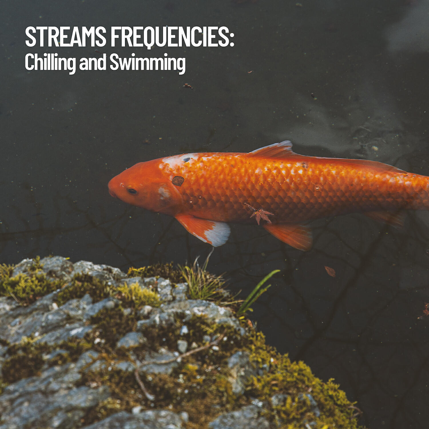 Rivers - Rainy Waterflow Swim