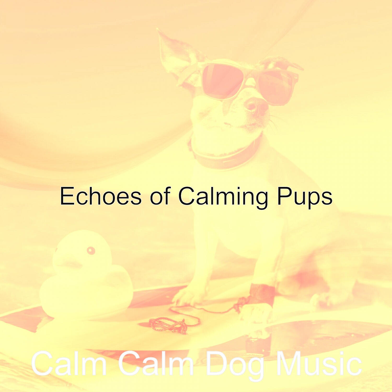 Calm Calm Dog Music - Background for Calming Pups