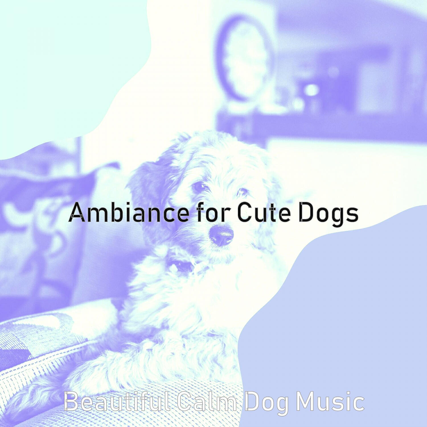 Beautiful Calm Dog Music - Divine Calming Pups