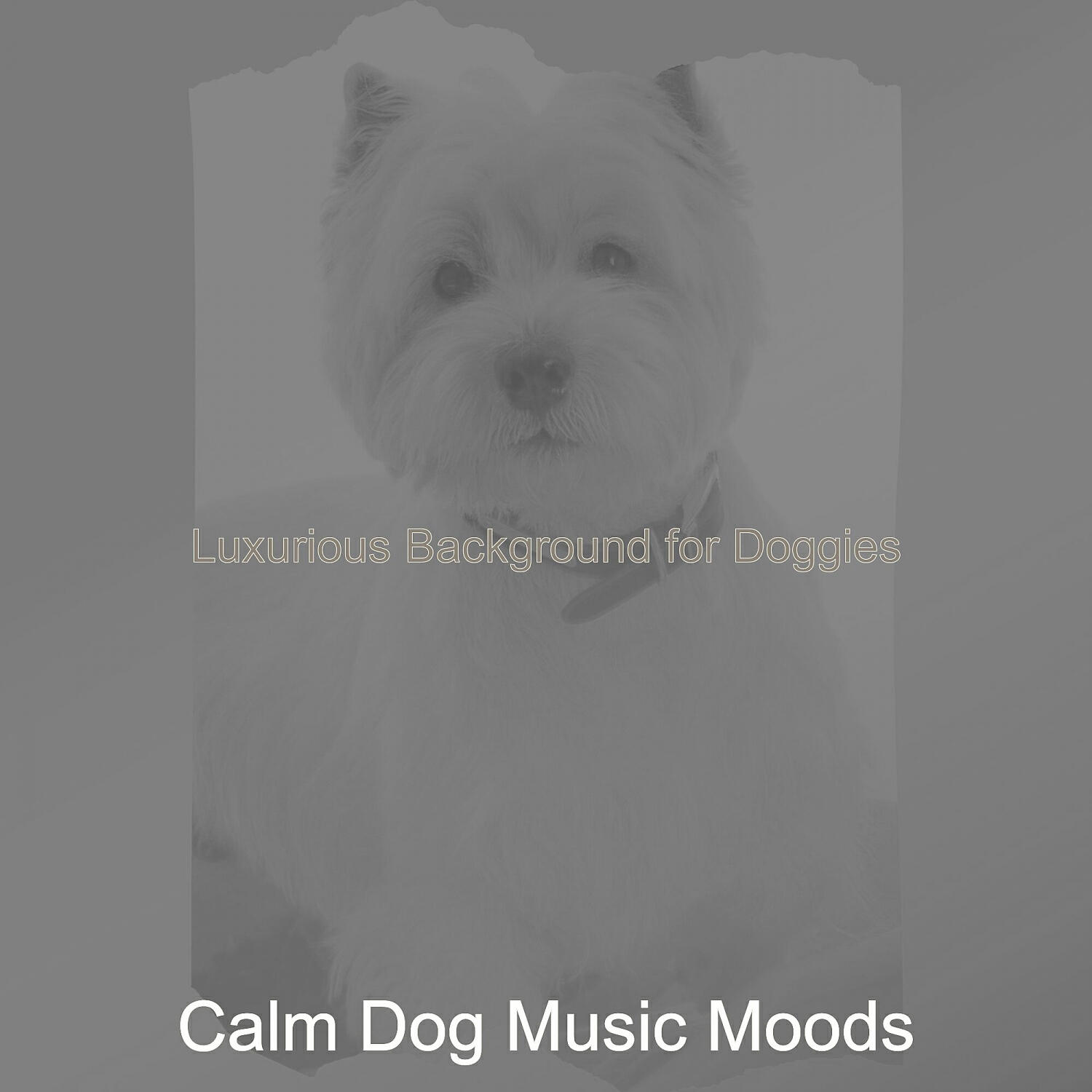 Calm Dog Music Moods - Fashionable Music for Doggy Training