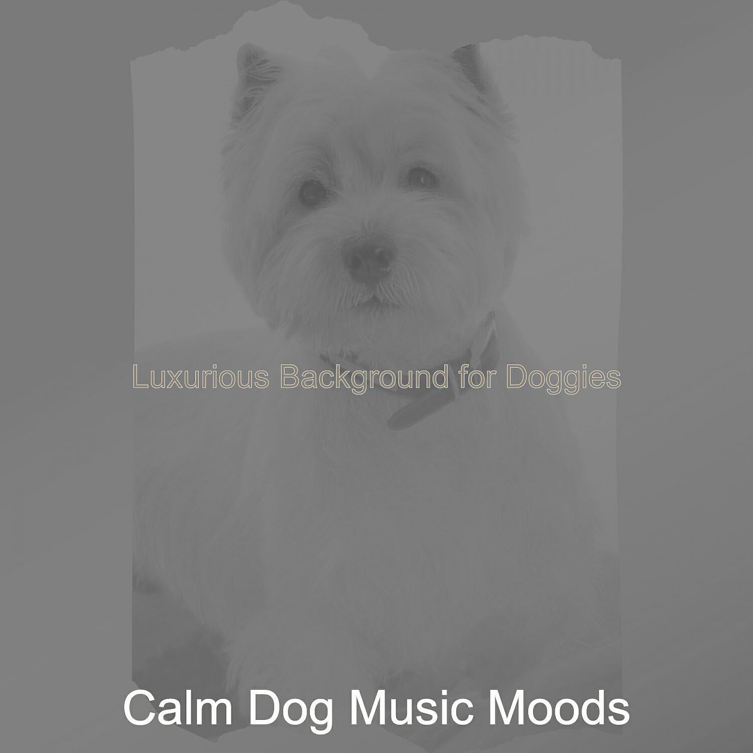 Calm Dog Music Moods - Fashionable Music for Doggy Training