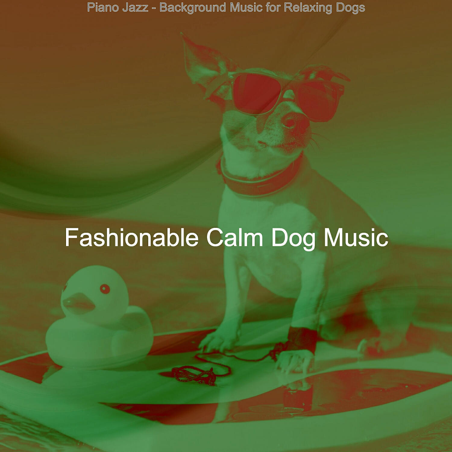 Fashionable Calm Dog Music - Charming Calming Pups