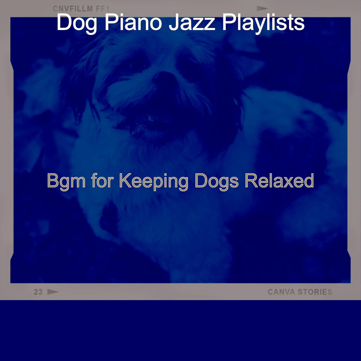Dog Piano Jazz Playlists - Friendly Backdrops for Relaxing Dogs