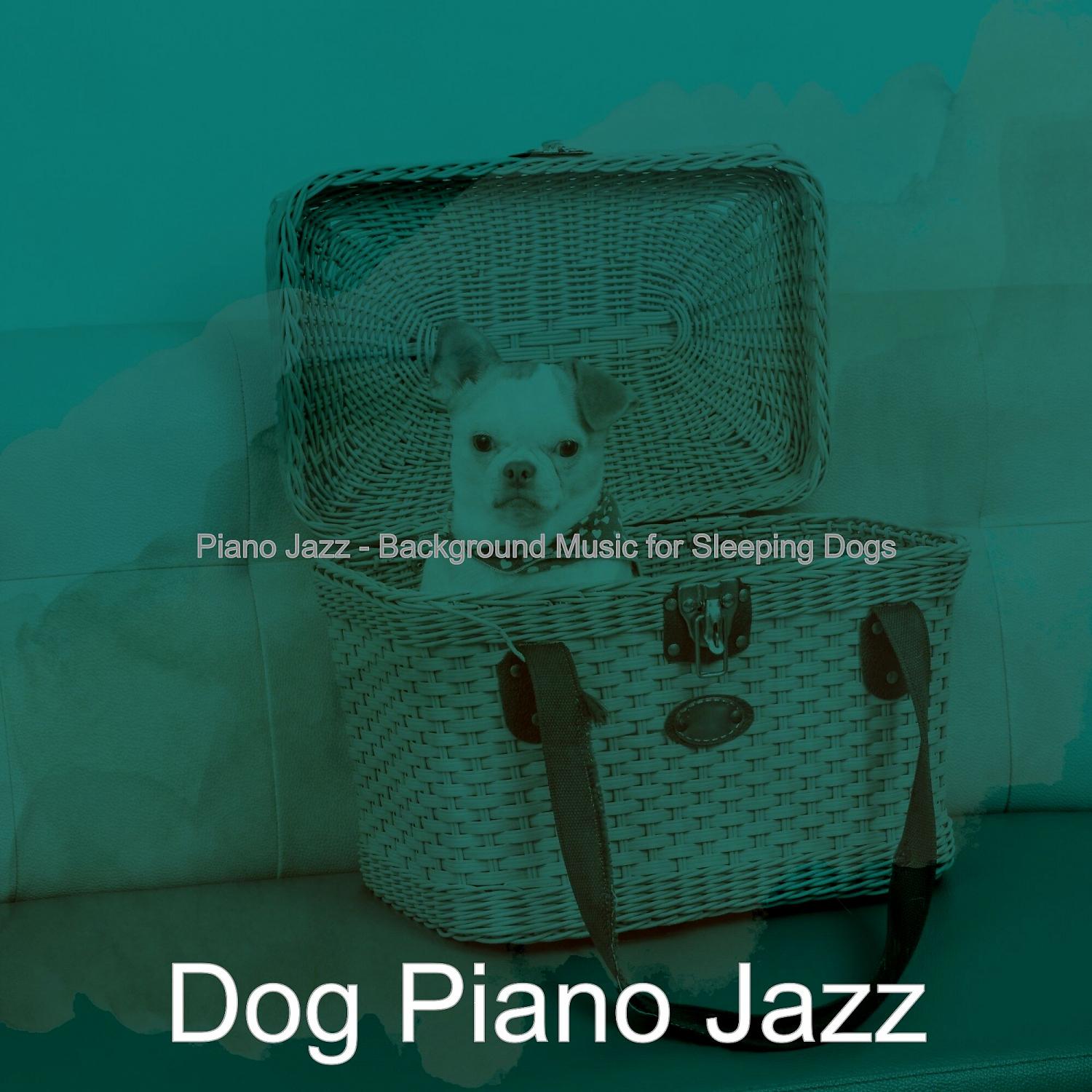 Постер альбома Piano Jazz - Background Music for Sleeping Dogs