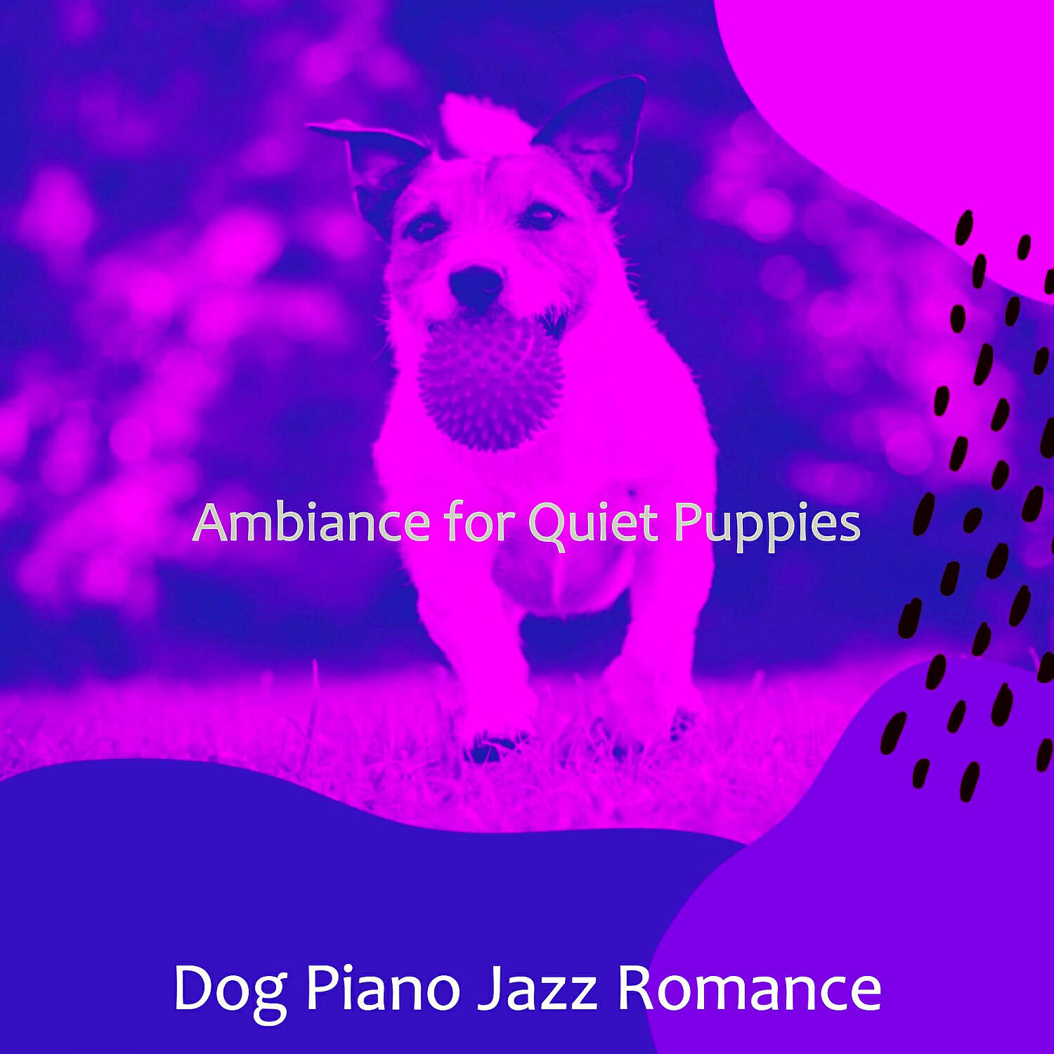 Dog Piano Jazz Romance - Tremendous Solo Piano Jazz - Vibe for Relaxing Dogs