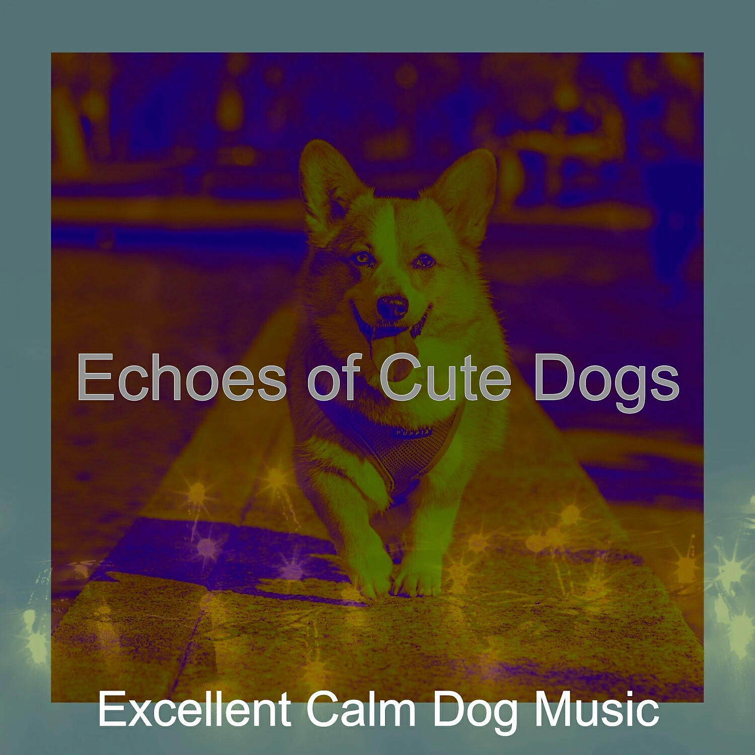 Excellent Calm Dog Music - Playful Solo Piano Jazz - Vibe for Cute Dogs