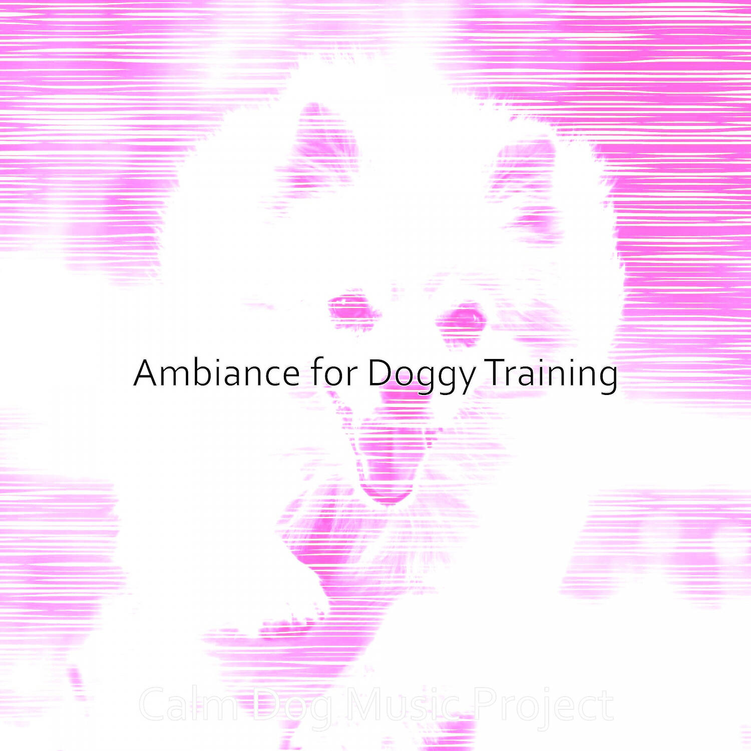 Calm Dog Music Project - Friendly Doggy Training