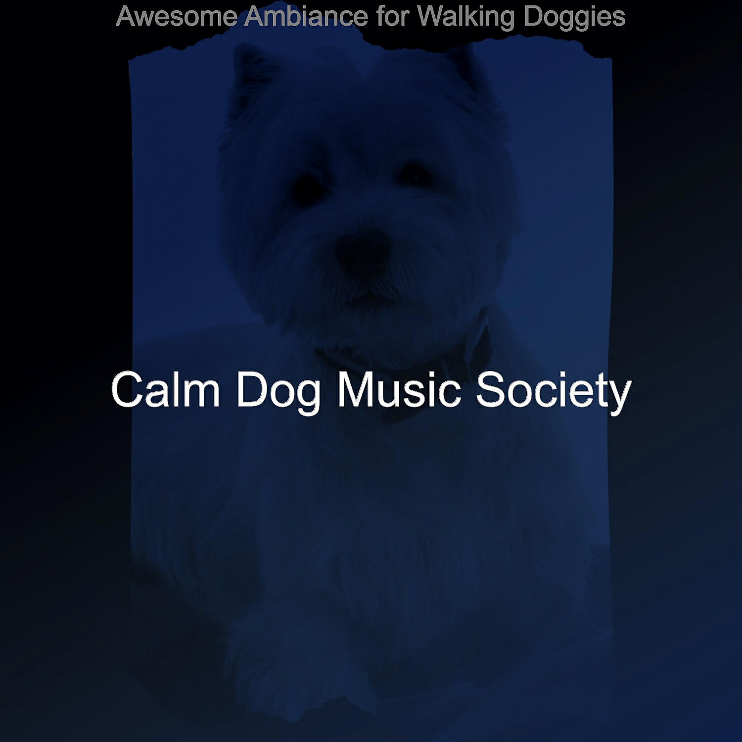 Calm Dog Music Society - Vibrant Moods for Calming Pups