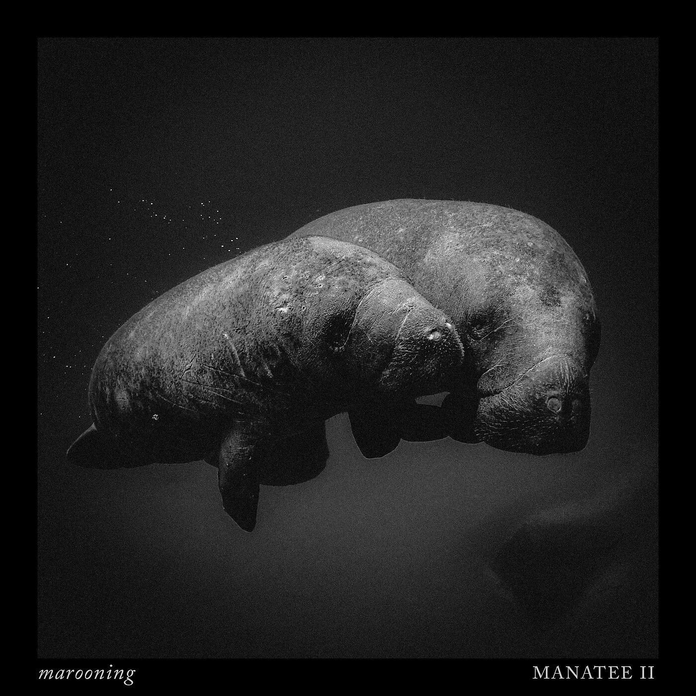 Marooning - Unity